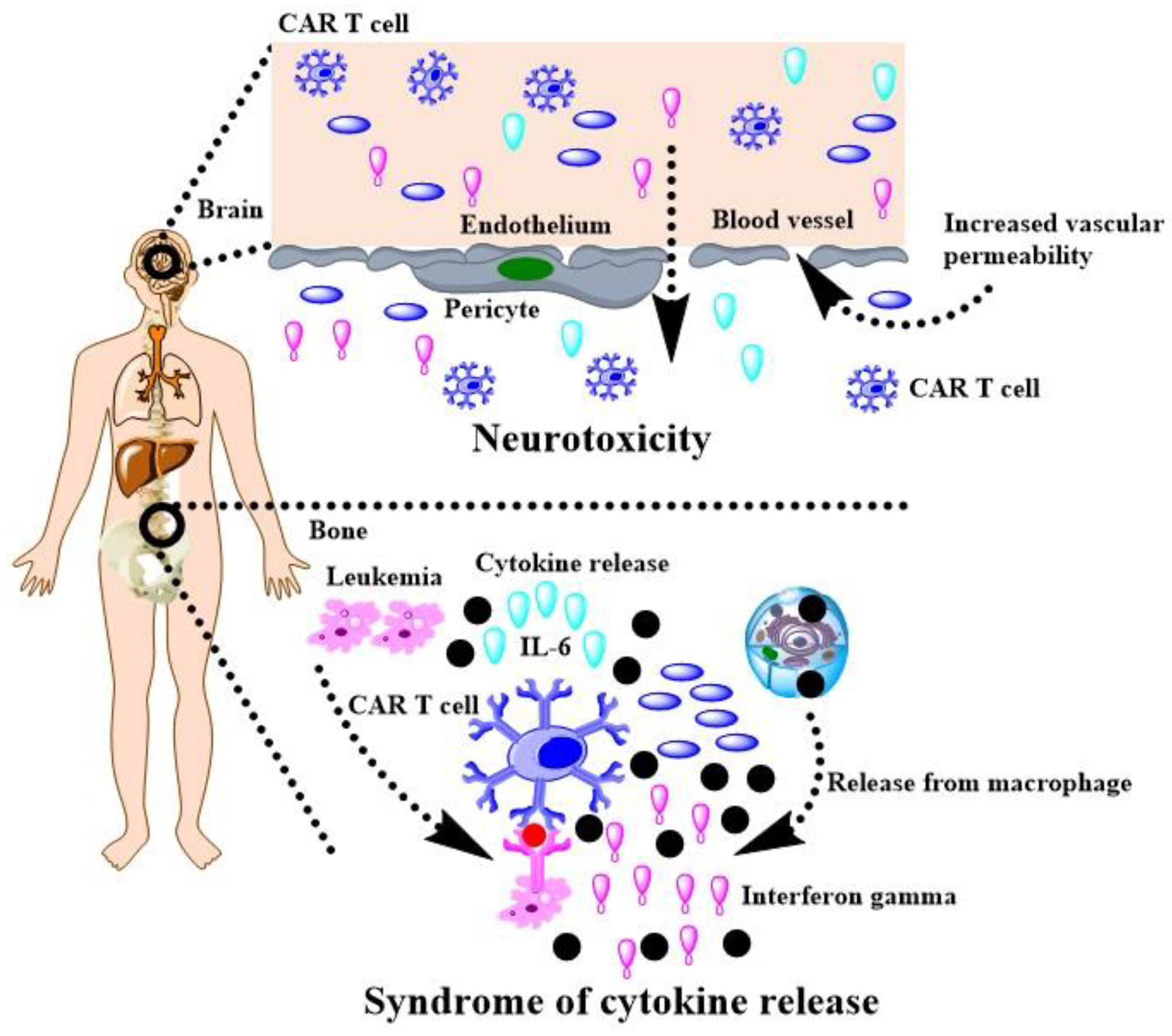 Cancers 14 00085 g004 Cancers 14 00085 g004