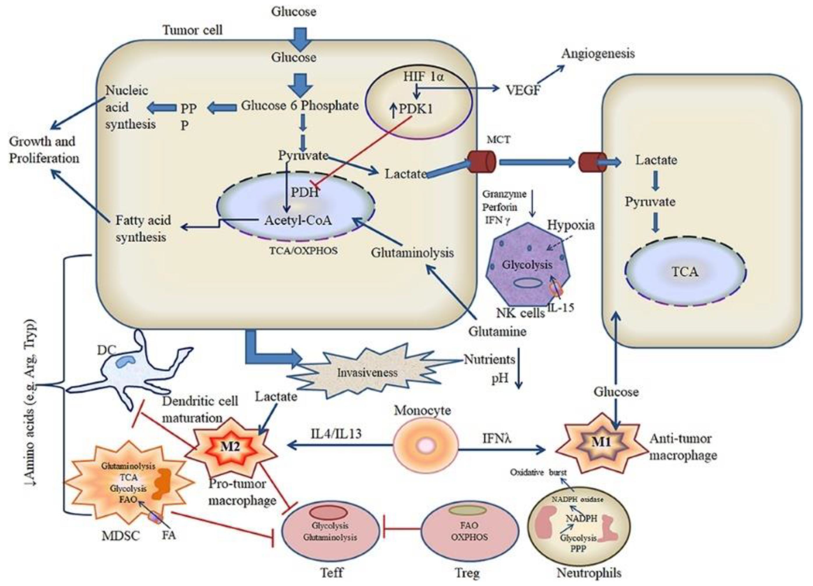 Cancers 14 00085 g006 Cancers 14 00085 g006
