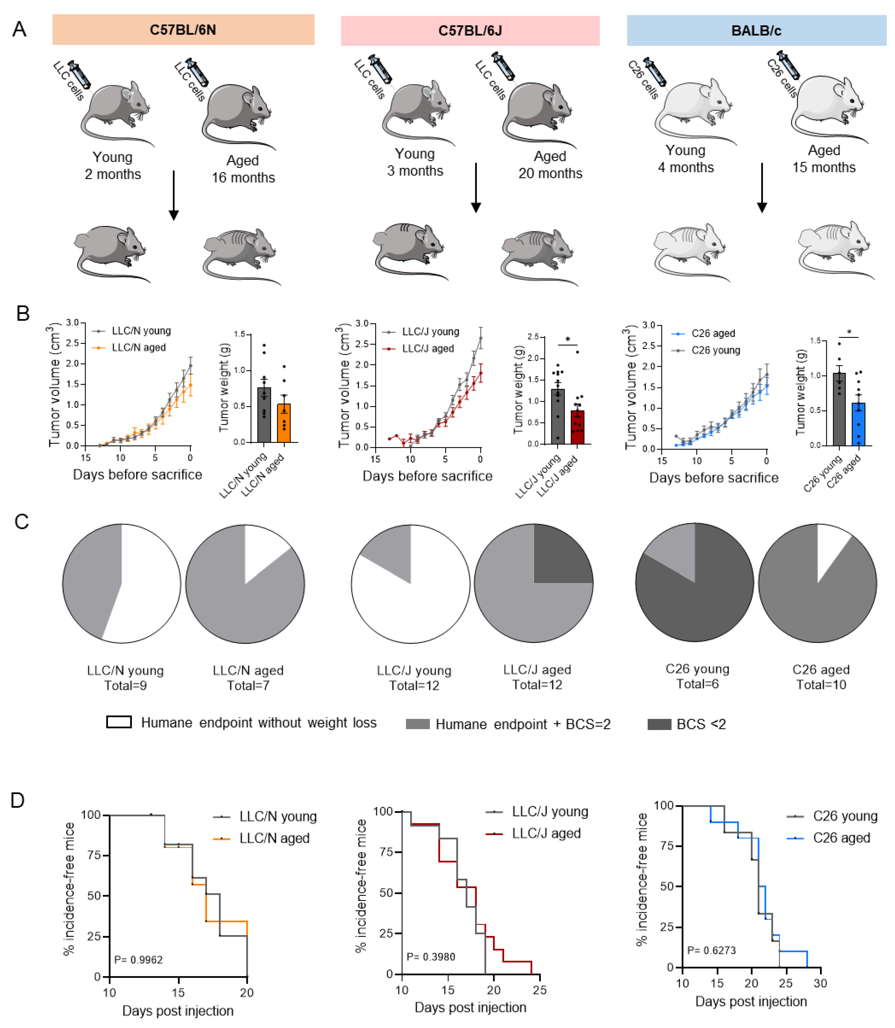 Cancers 14 00090 g001