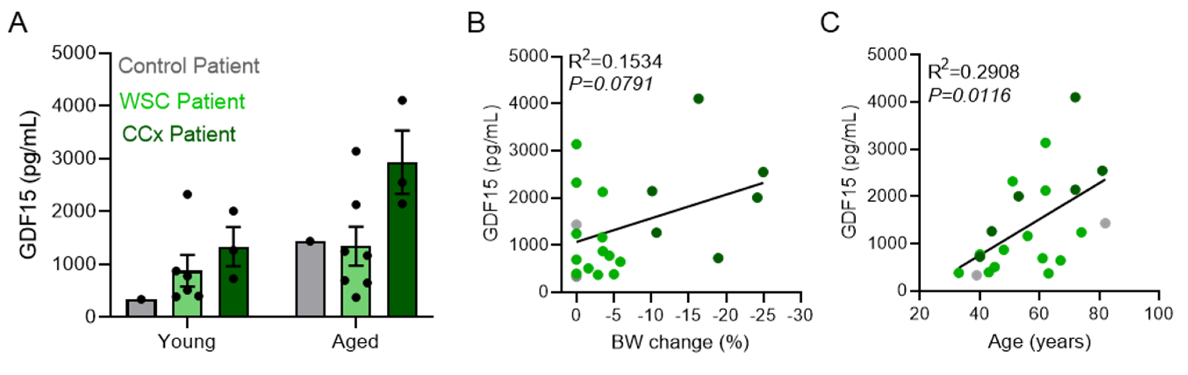 Cancers 14 00090 g007