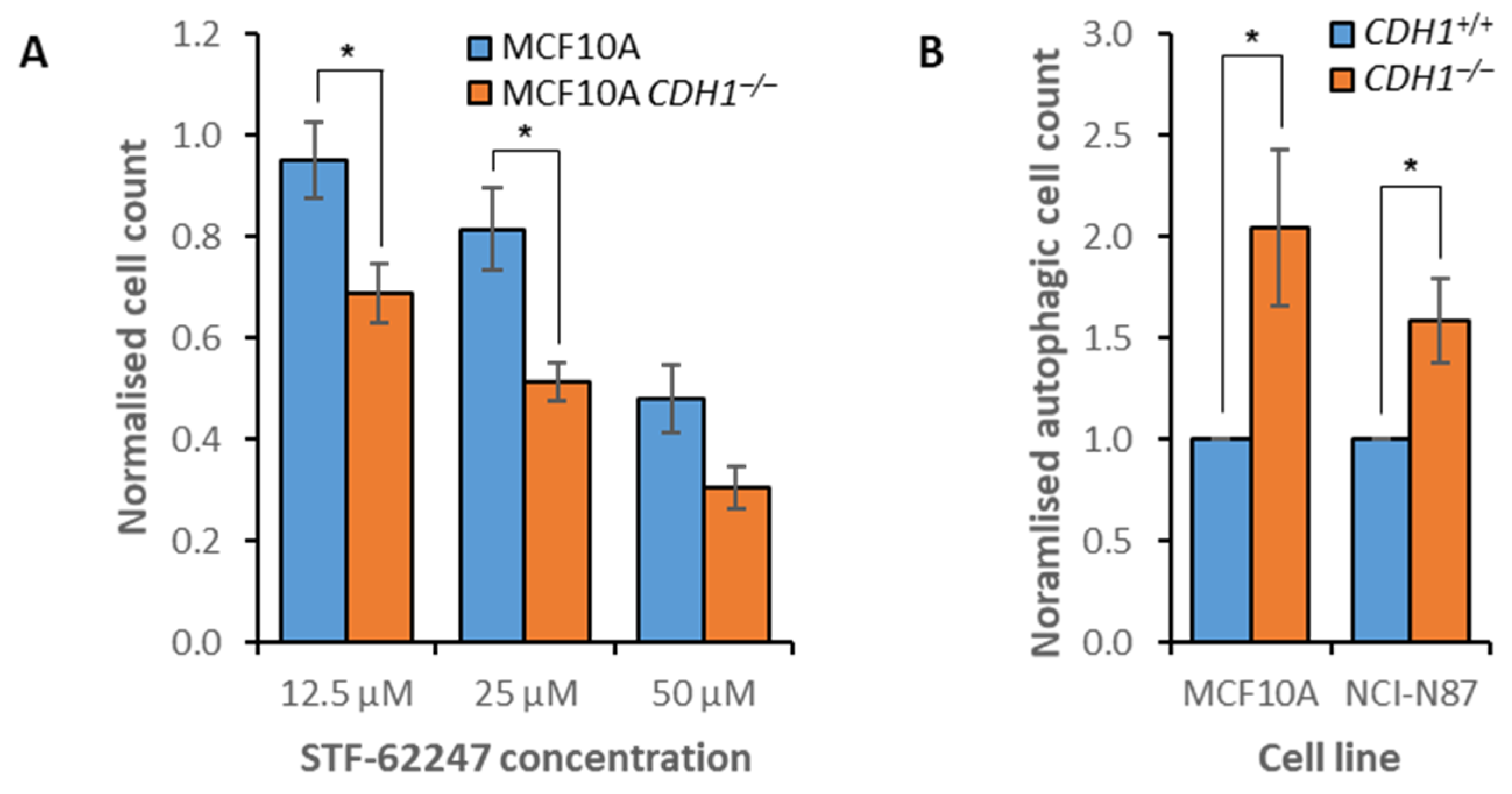 Cancers 14 00102 g004 Cancers 14 00102 g004