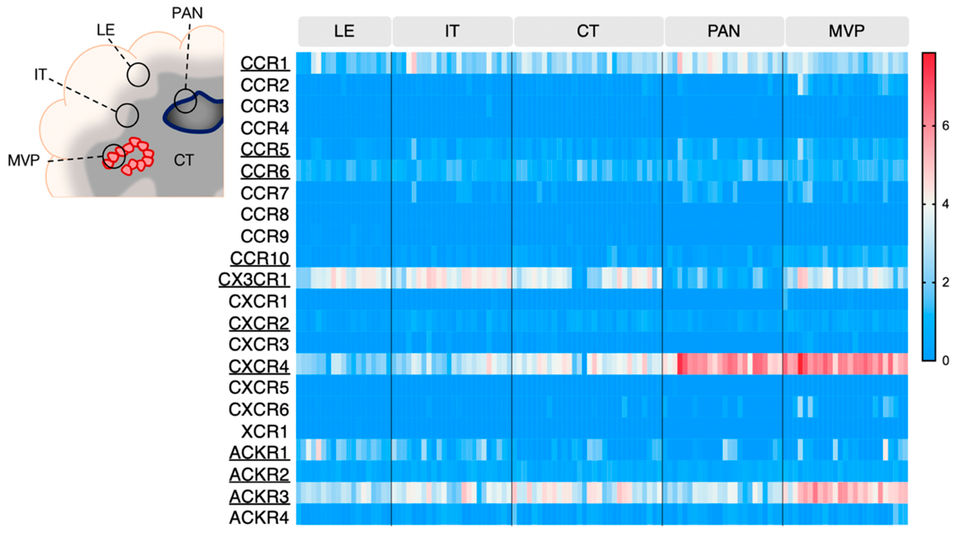Cancers 14 00130 g002 Cancers 14 00130 g002