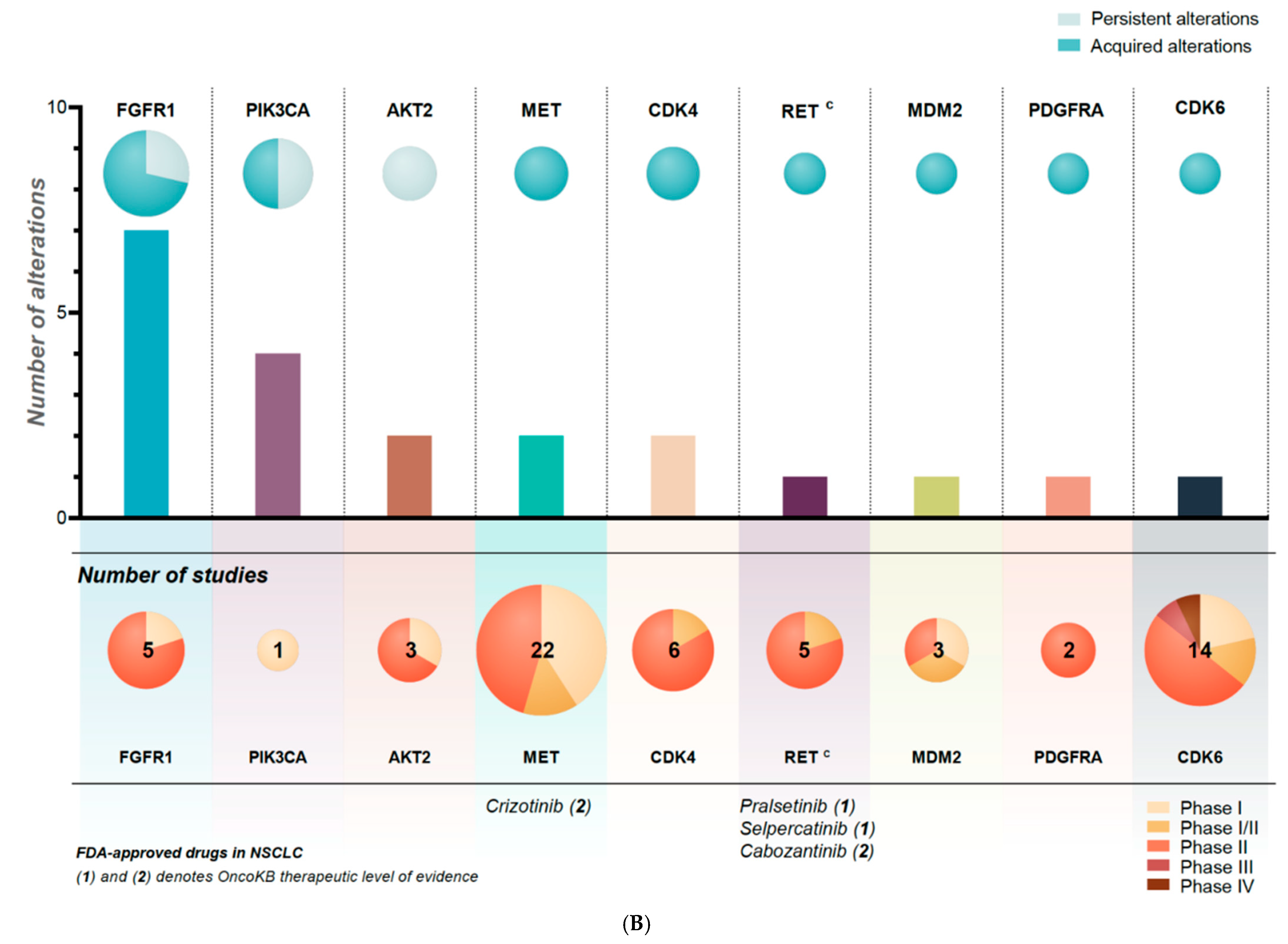 Cancers 14 00132 g003b