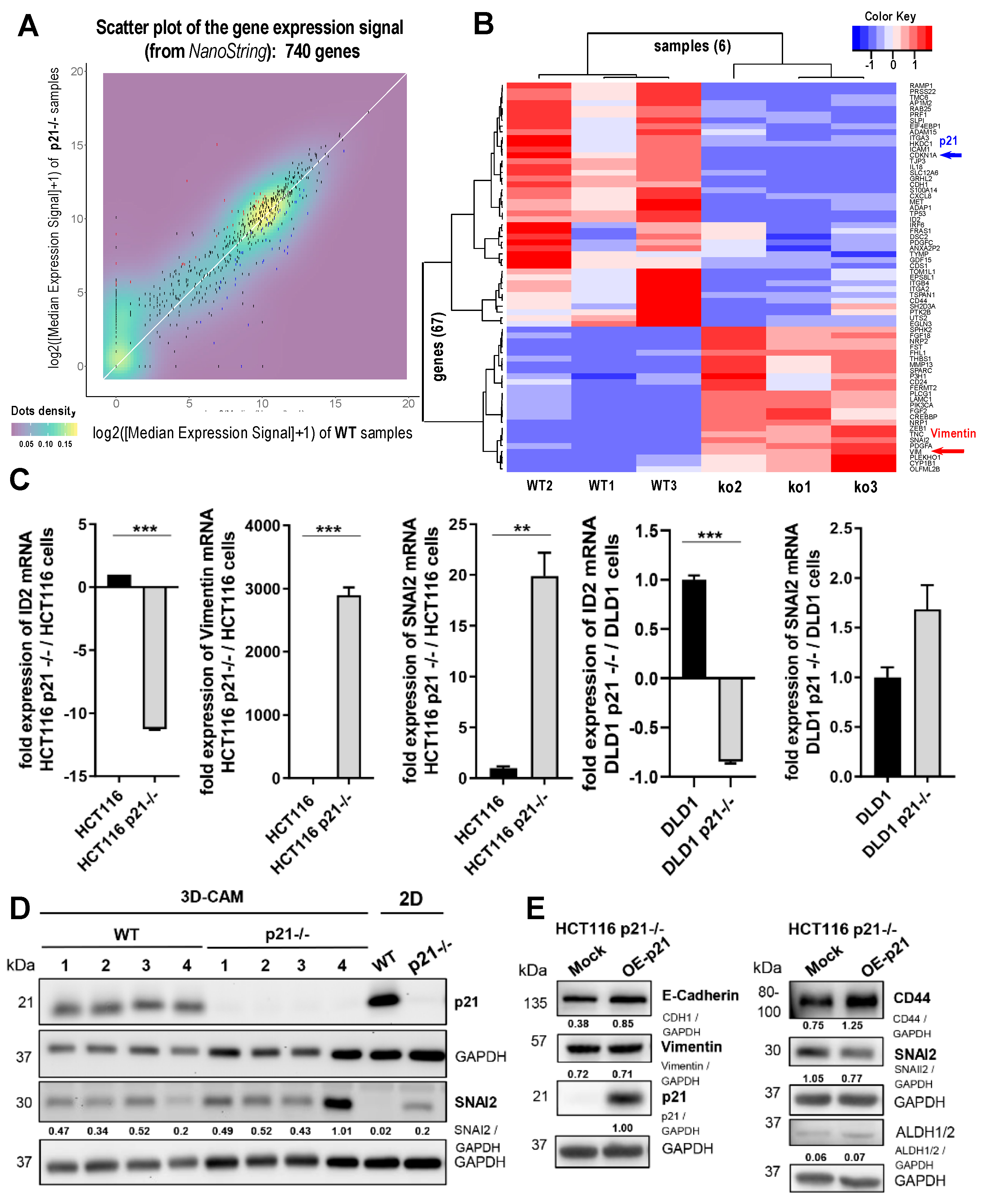 Cancers 14 00136 g002