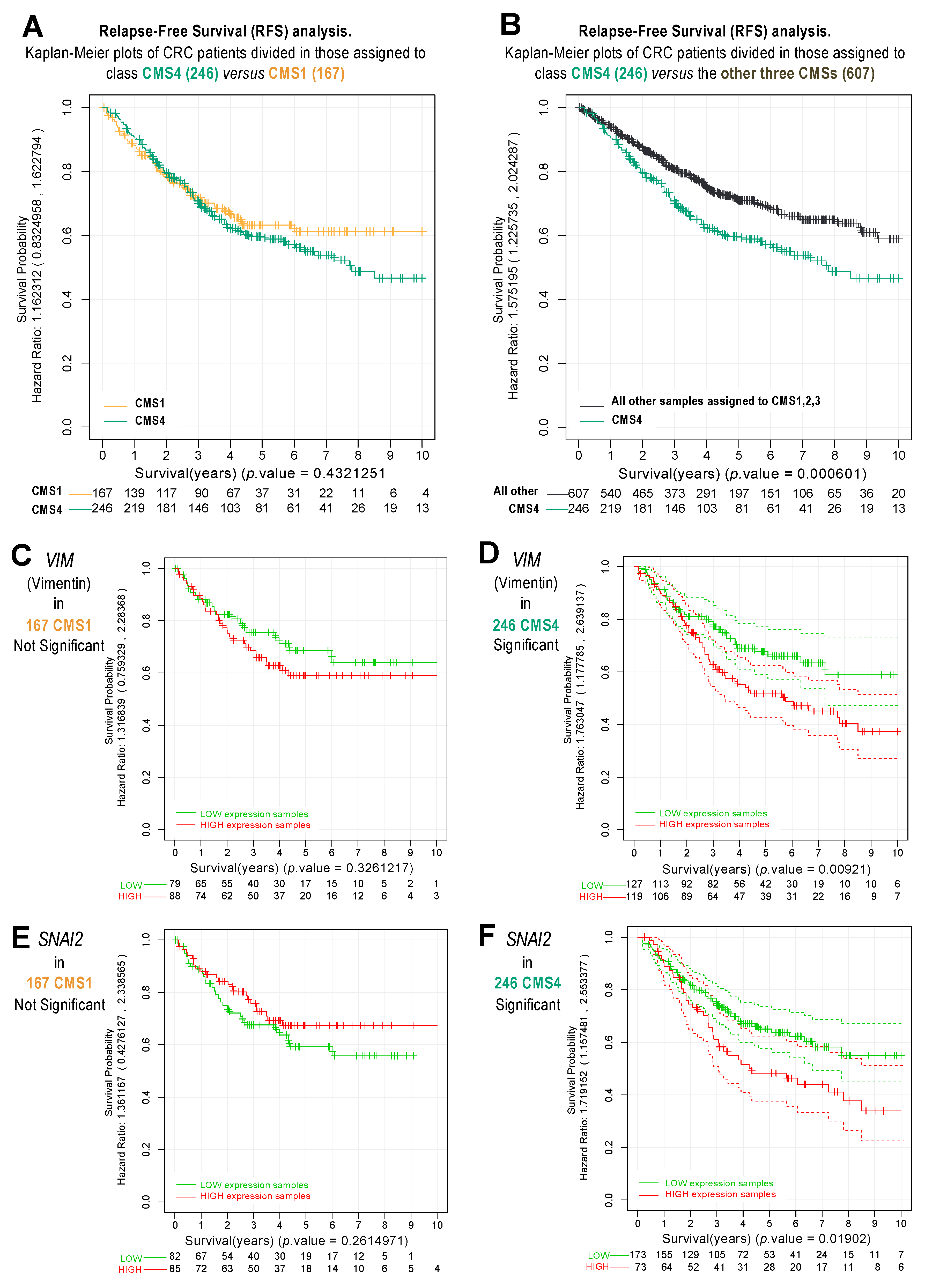 Cancers 14 00136 g004