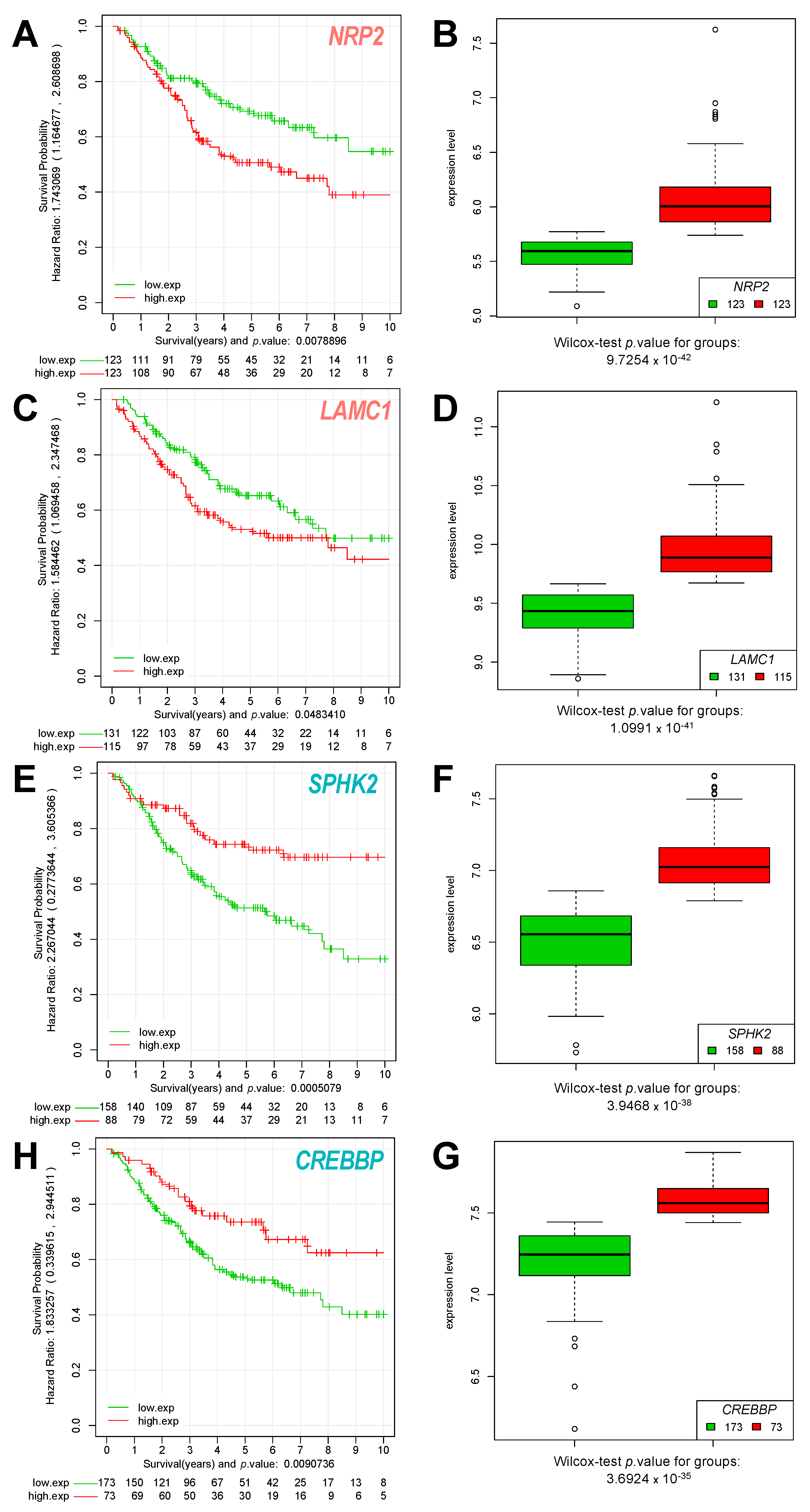 Cancers 14 00136 g006