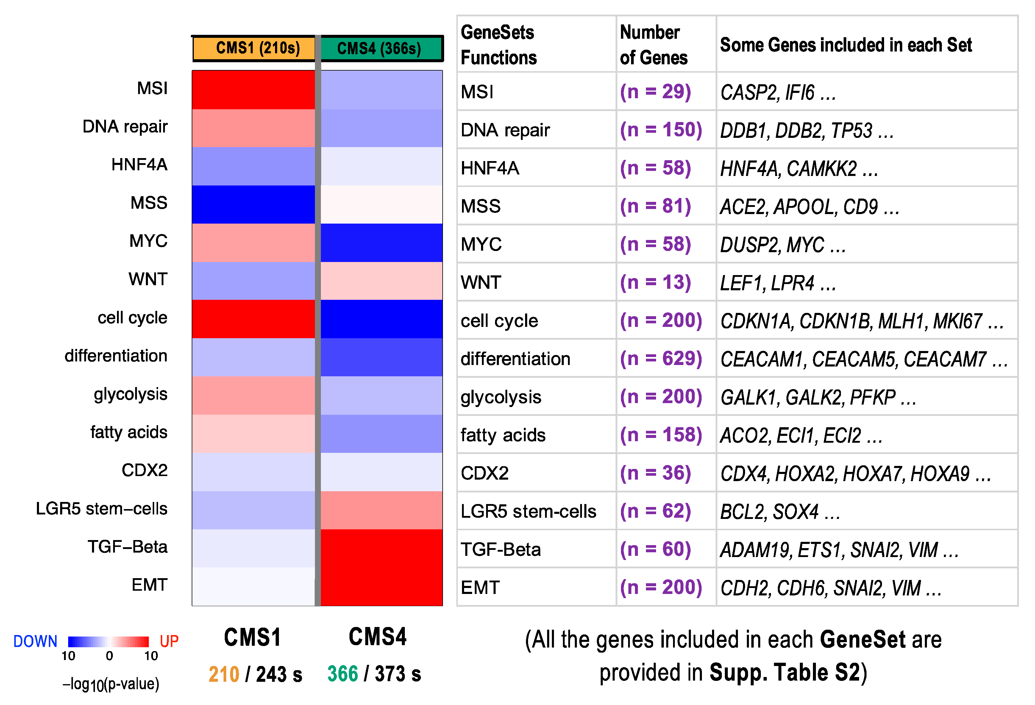 Cancers 14 00136 g007