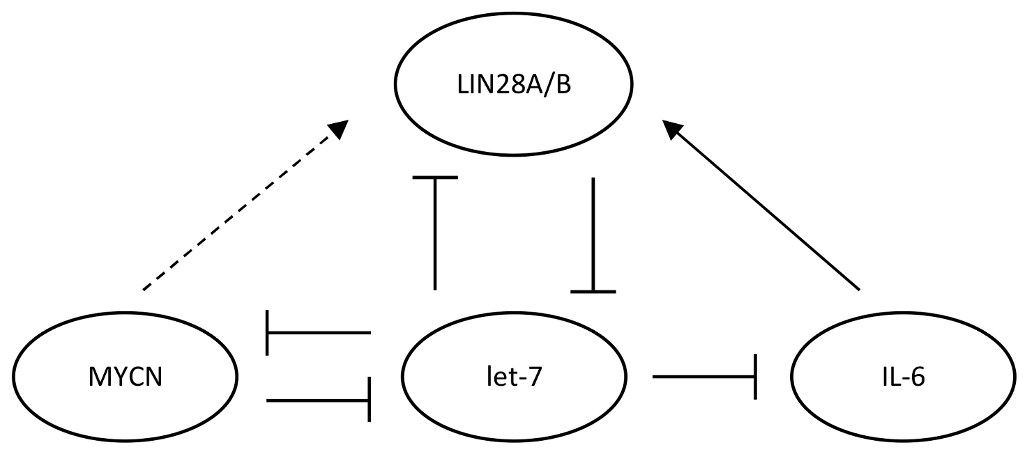 Cancers 14 00139 g003