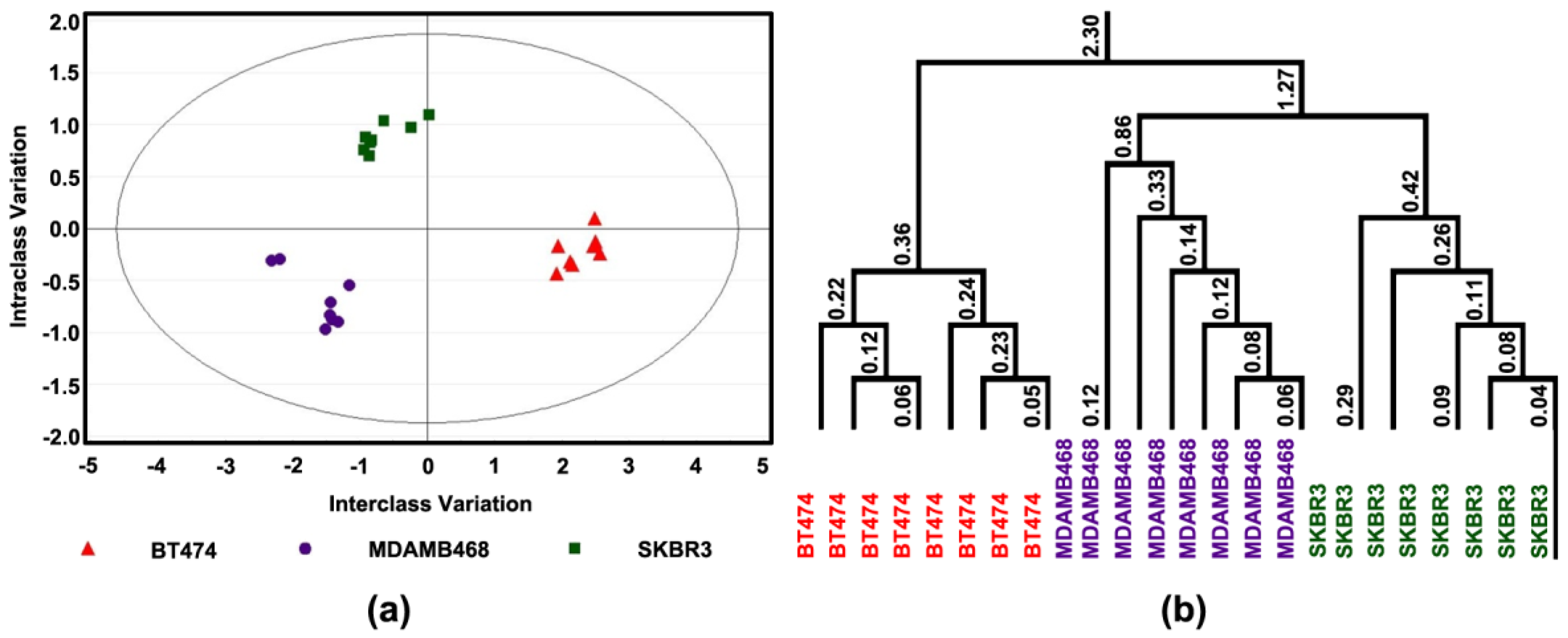 Cancers 14 00157 g003