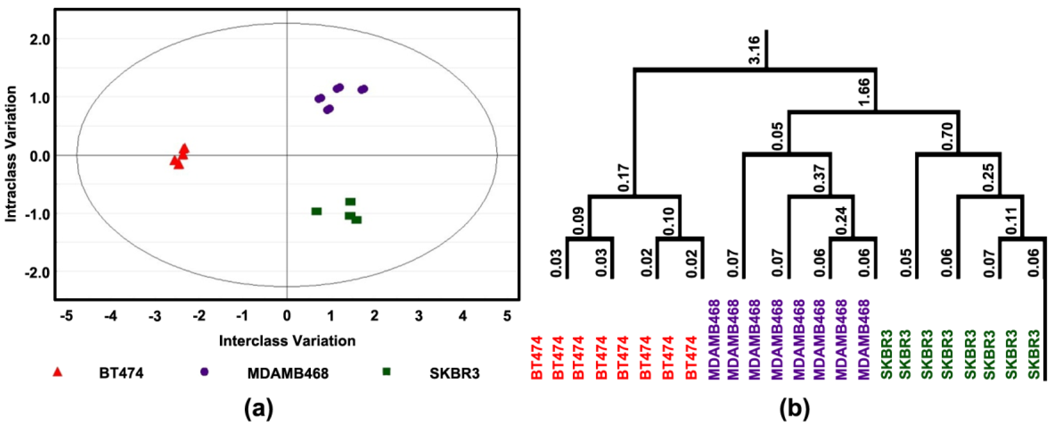 Cancers 14 00157 g004