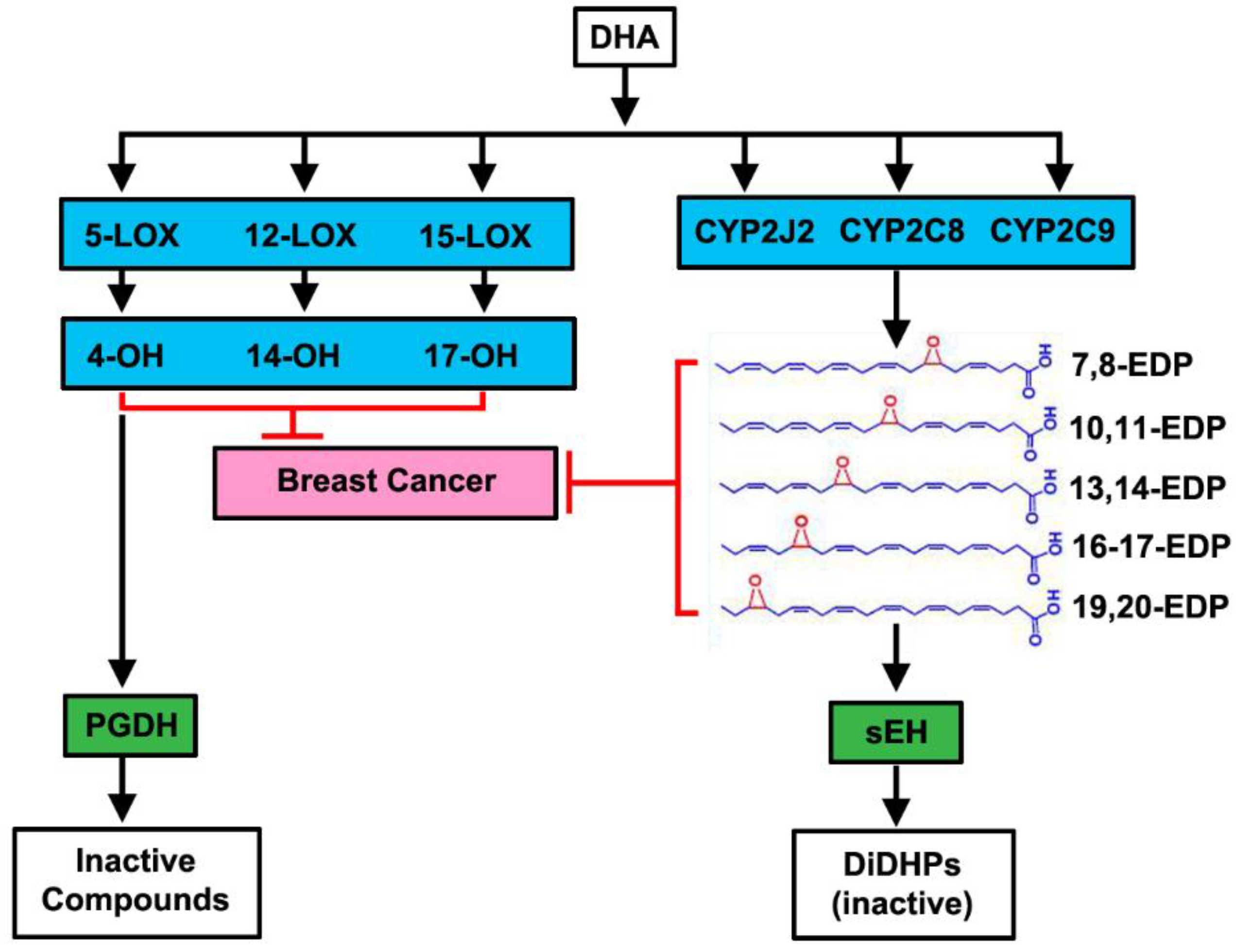 Cancers 14 00157 g010
