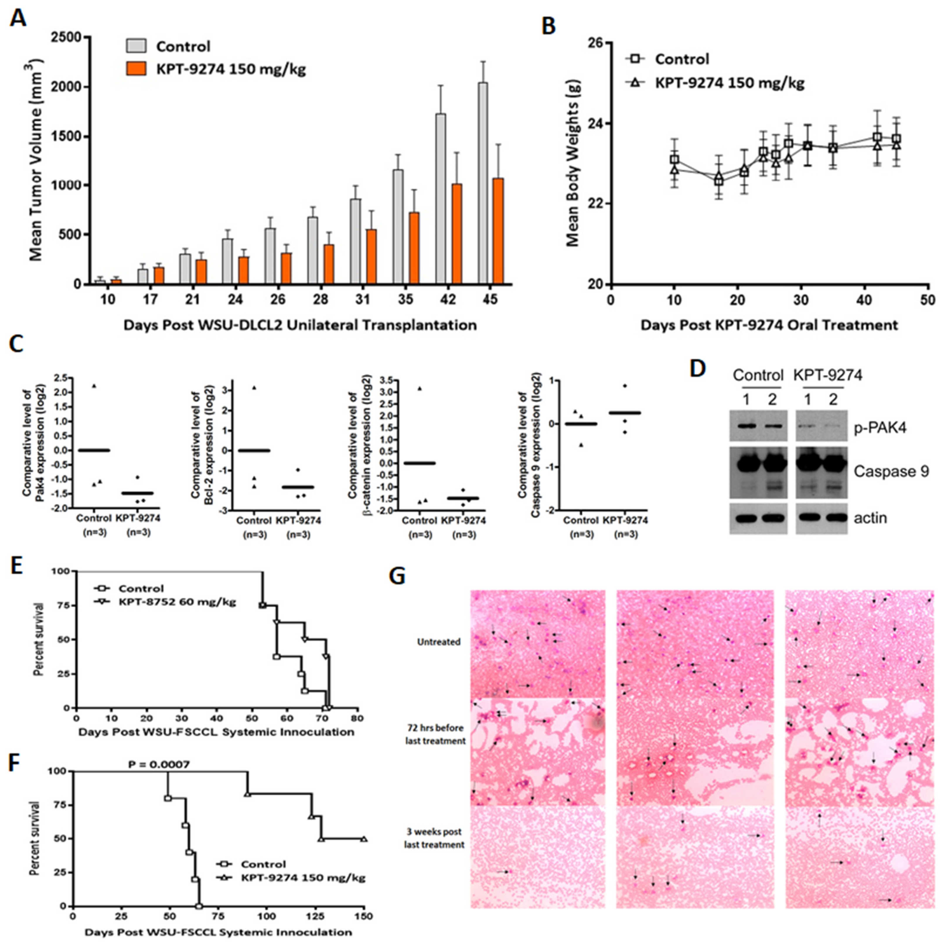 Cancers 14 00160 g005