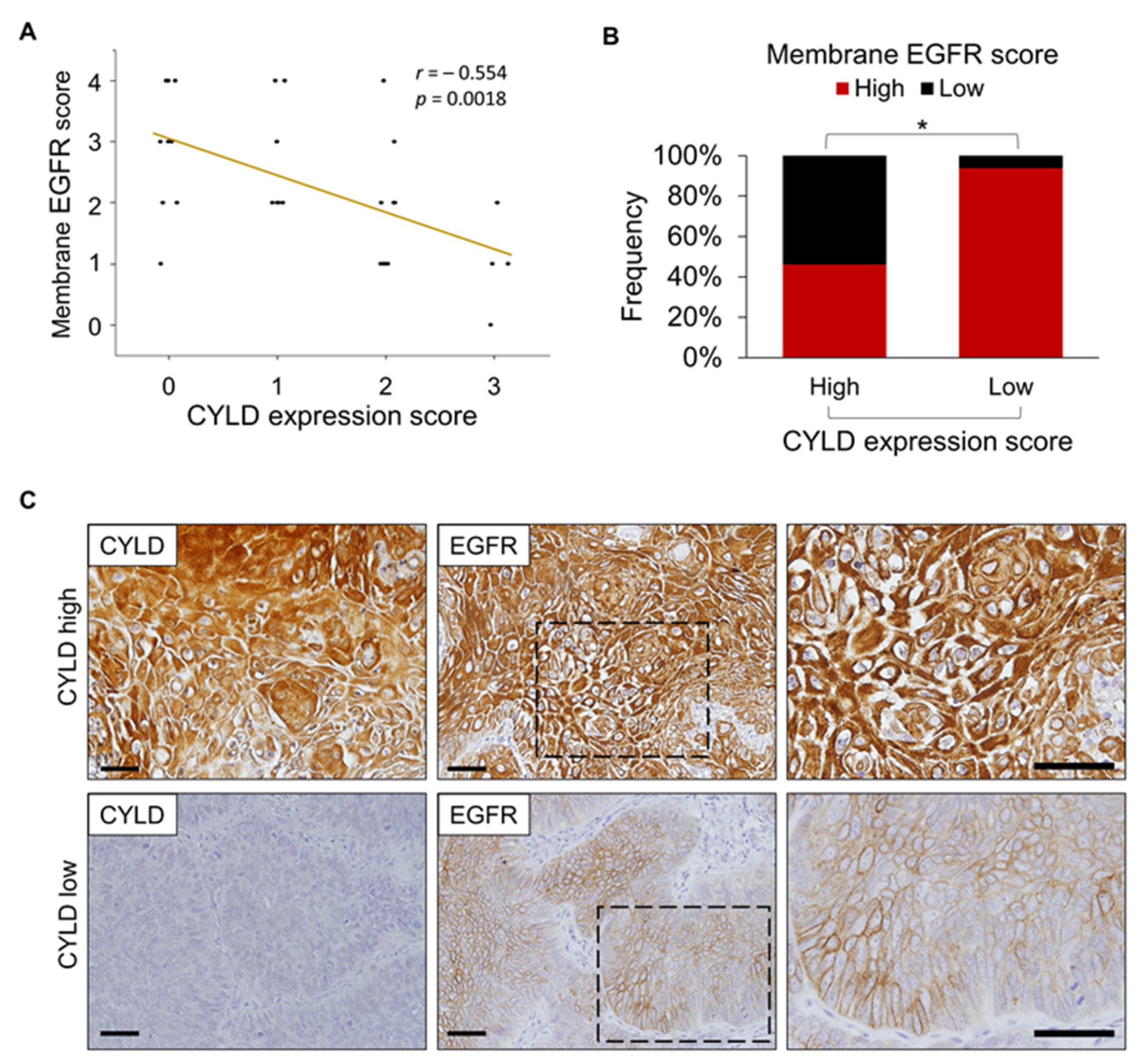 Cancers 14 00173 g004