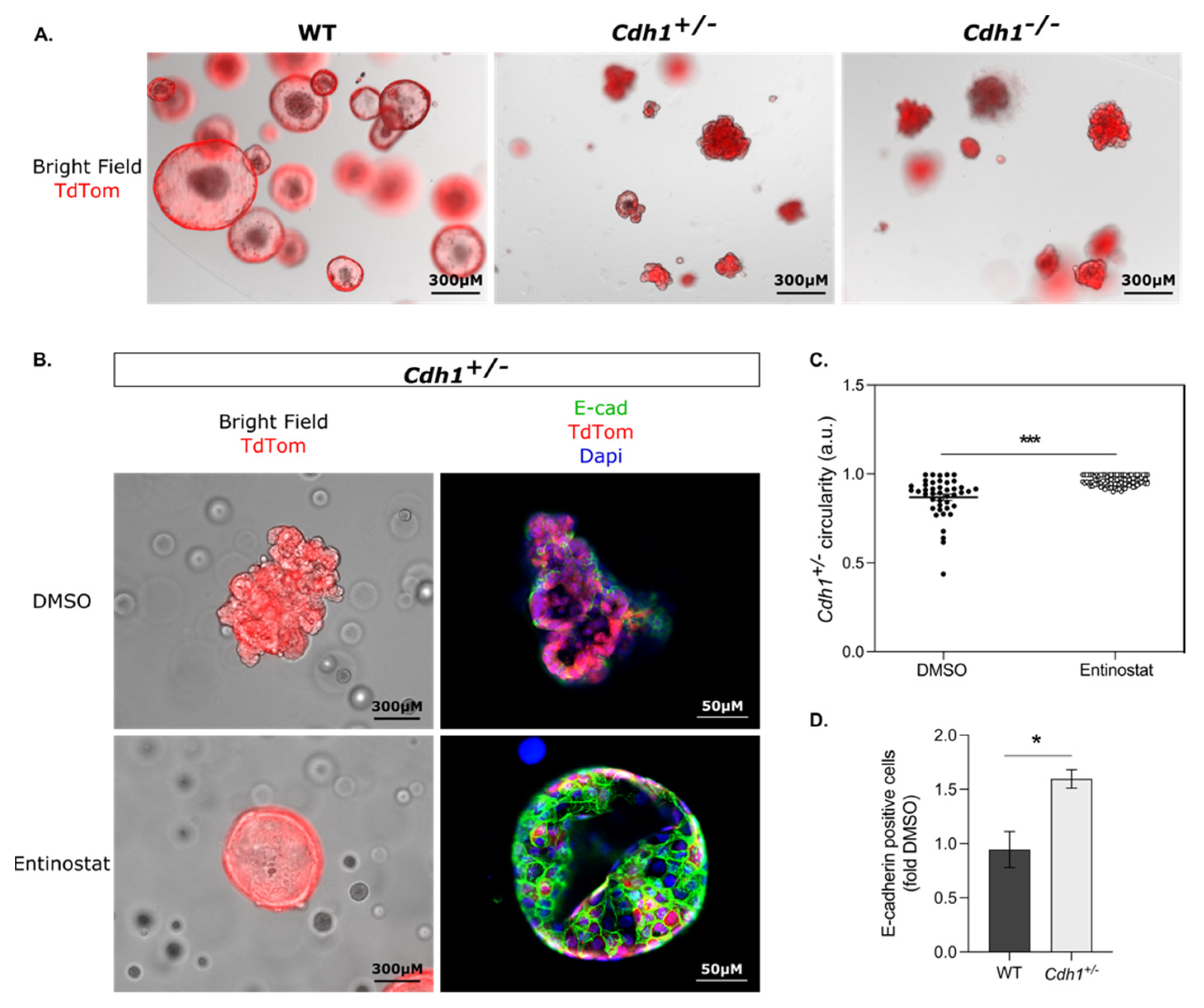 Cancers 14 00175 g007