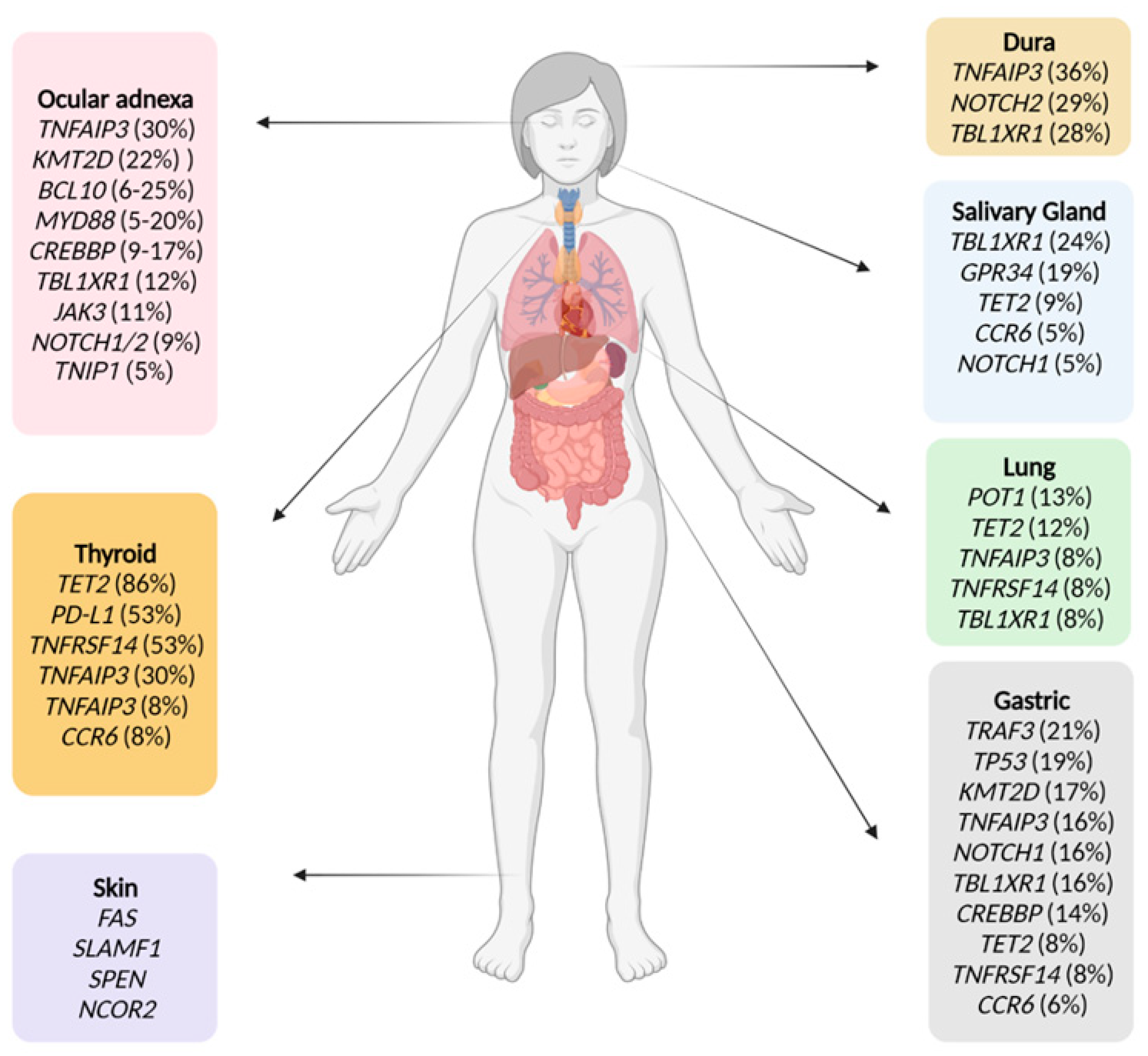 Cancers 14 00176 g001