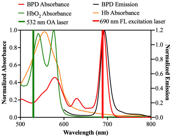 Cancers 14 00197 g0a1 550
