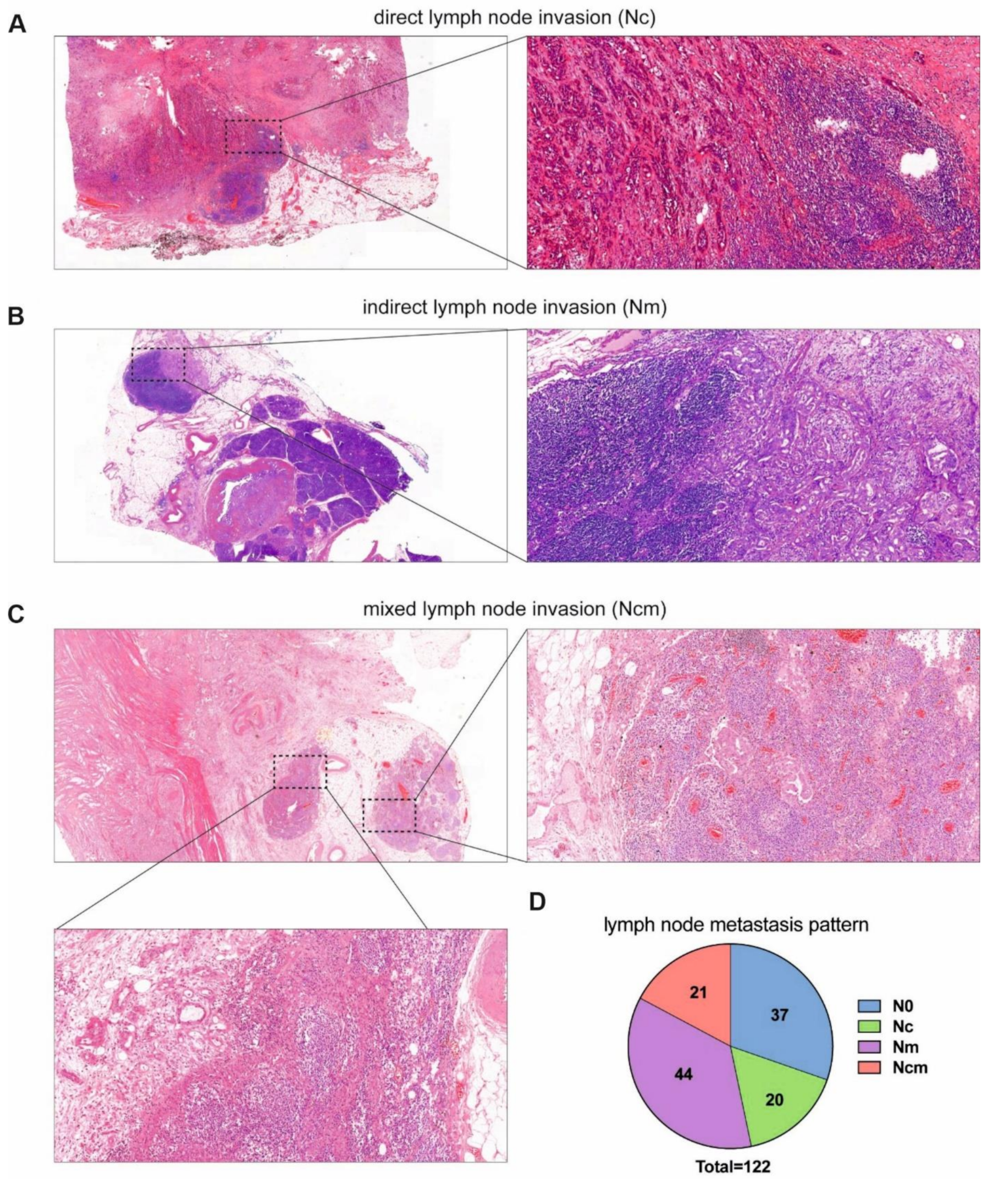 Cancers 14 00201 g001