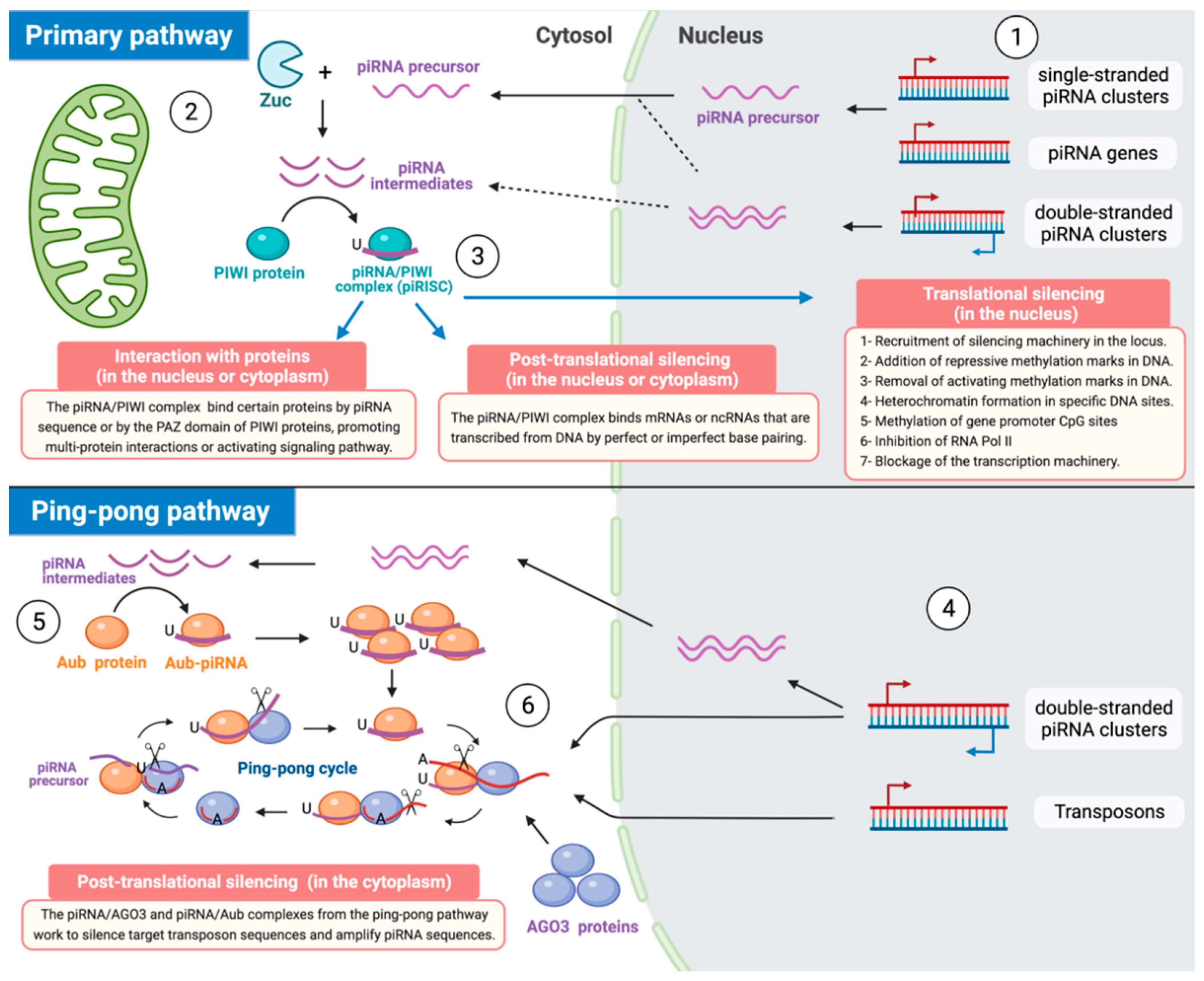 Cancers 14 00202 g001 Cancers 14 00202 g001