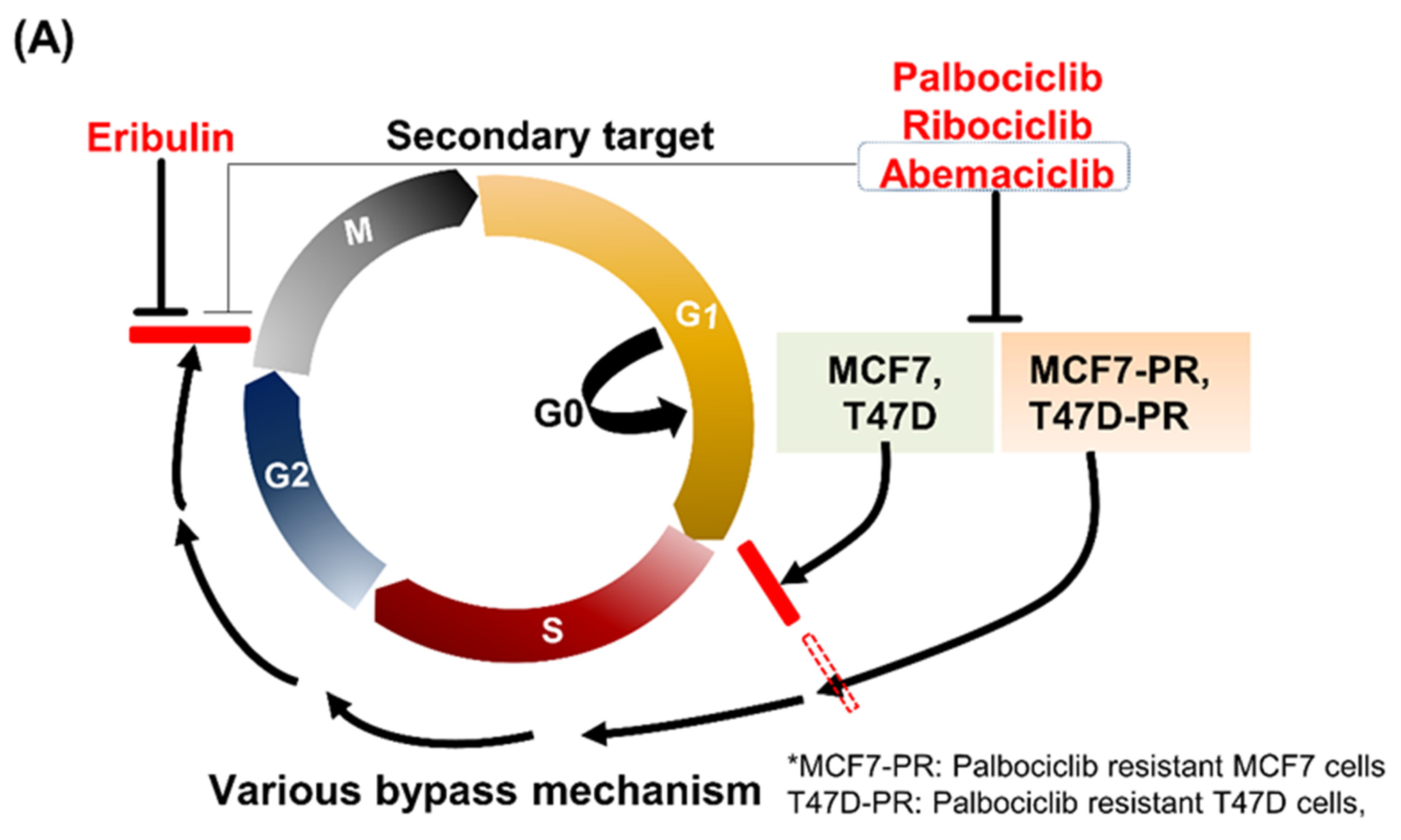 Cancers 14 00210 g001a Cancers 14 00210 g001a