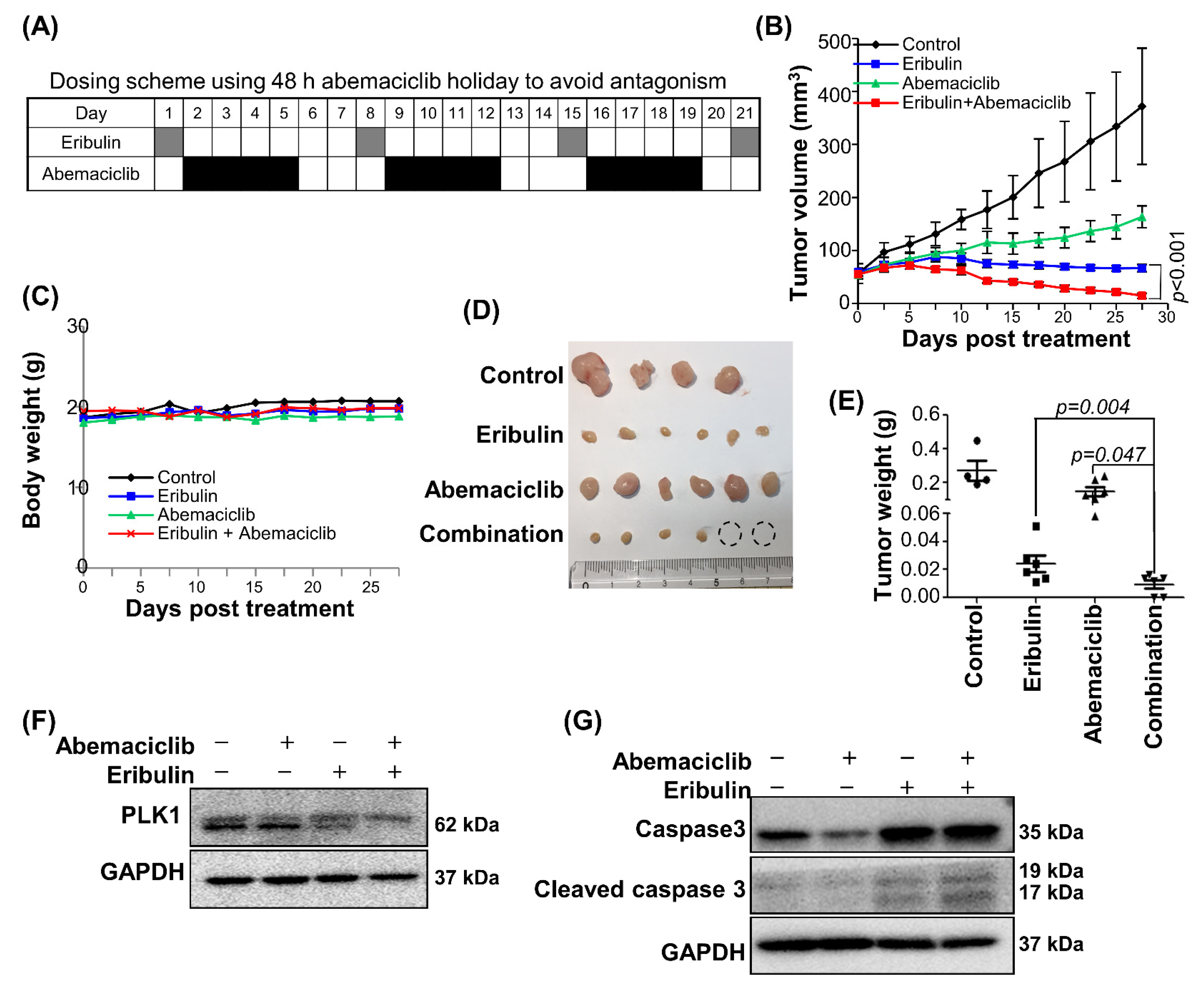 Cancers 14 00210 g005 Cancers 14 00210 g005