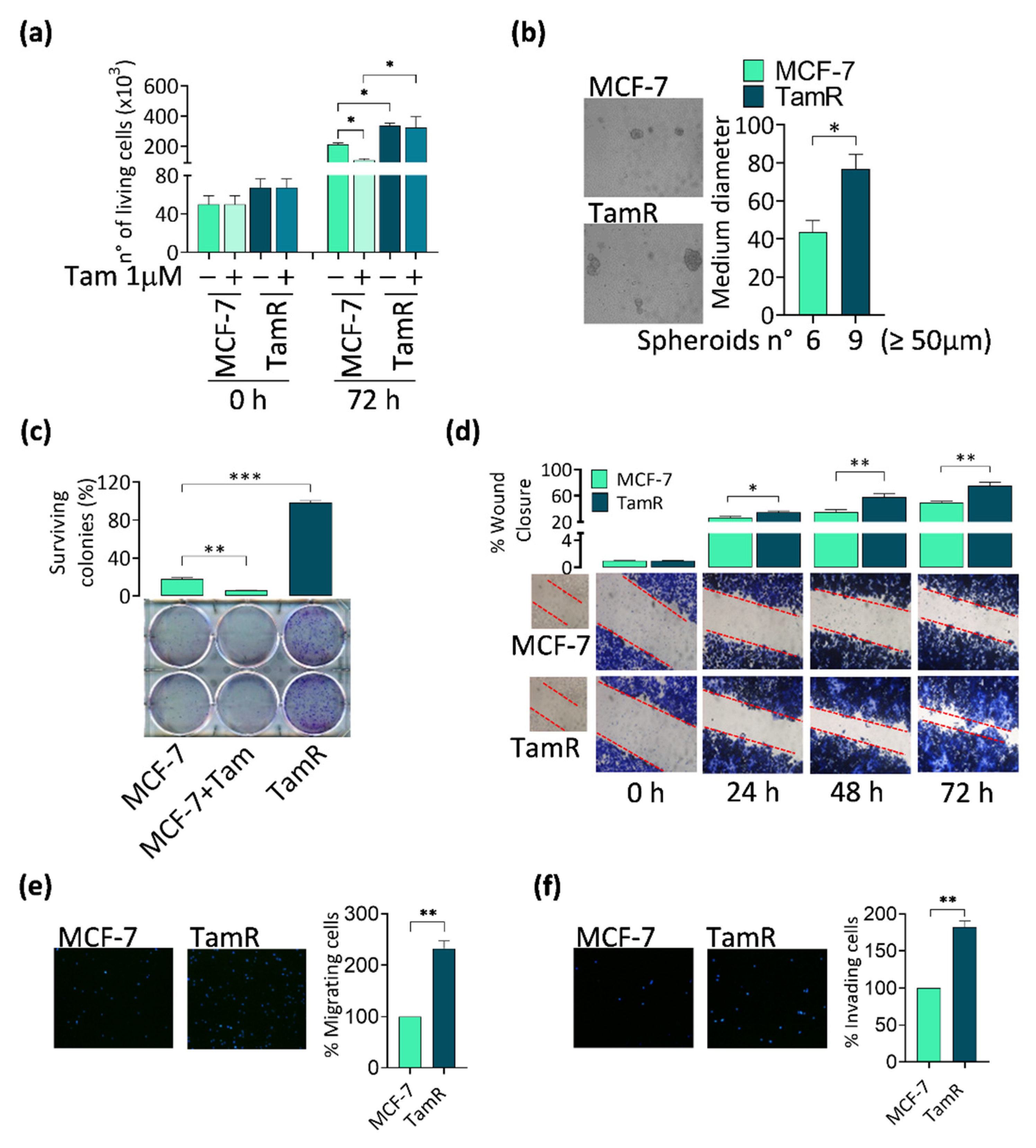 Cancers 14 00214 g001 Cancers 14 00214 g001