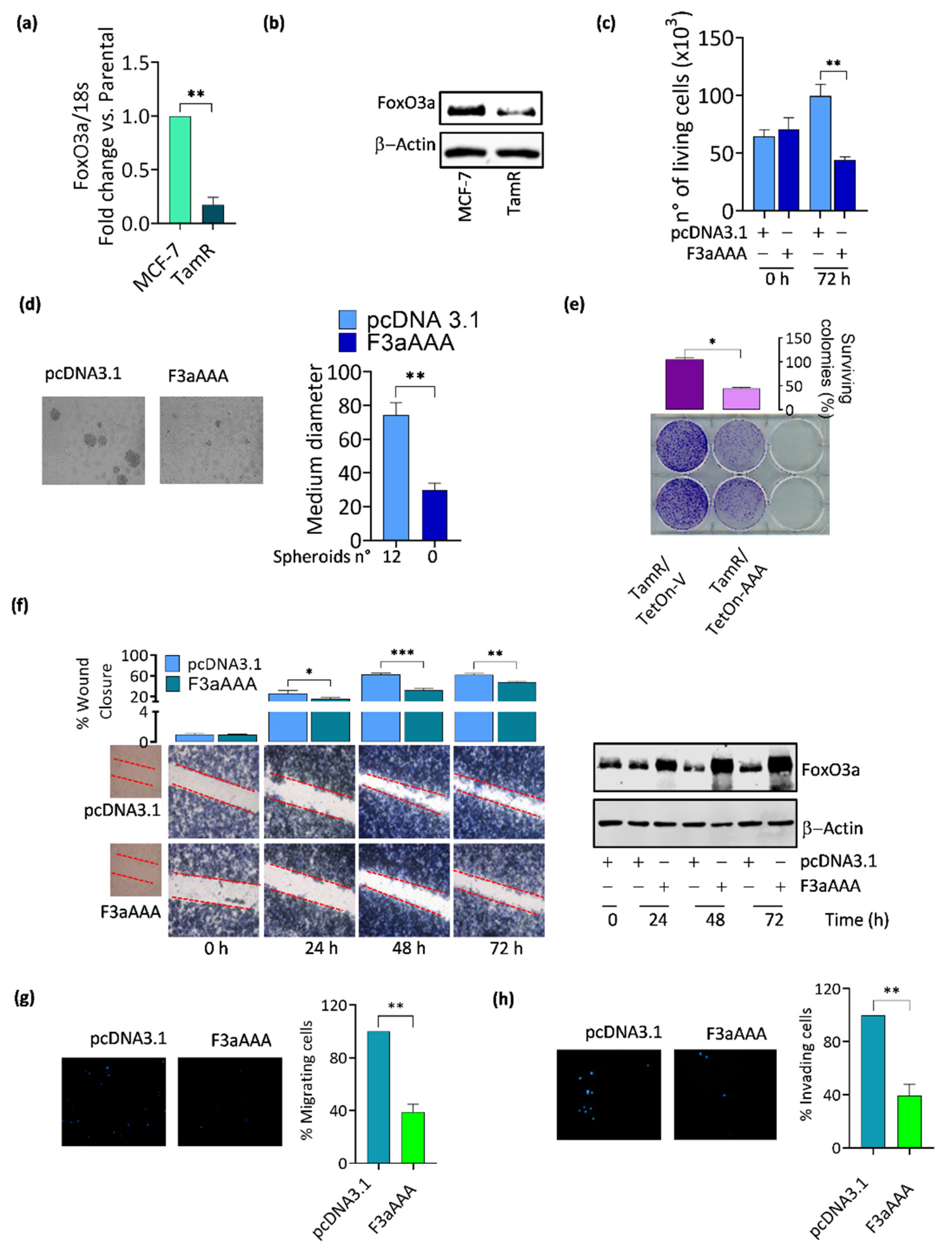 Cancers 14 00214 g002 Cancers 14 00214 g002