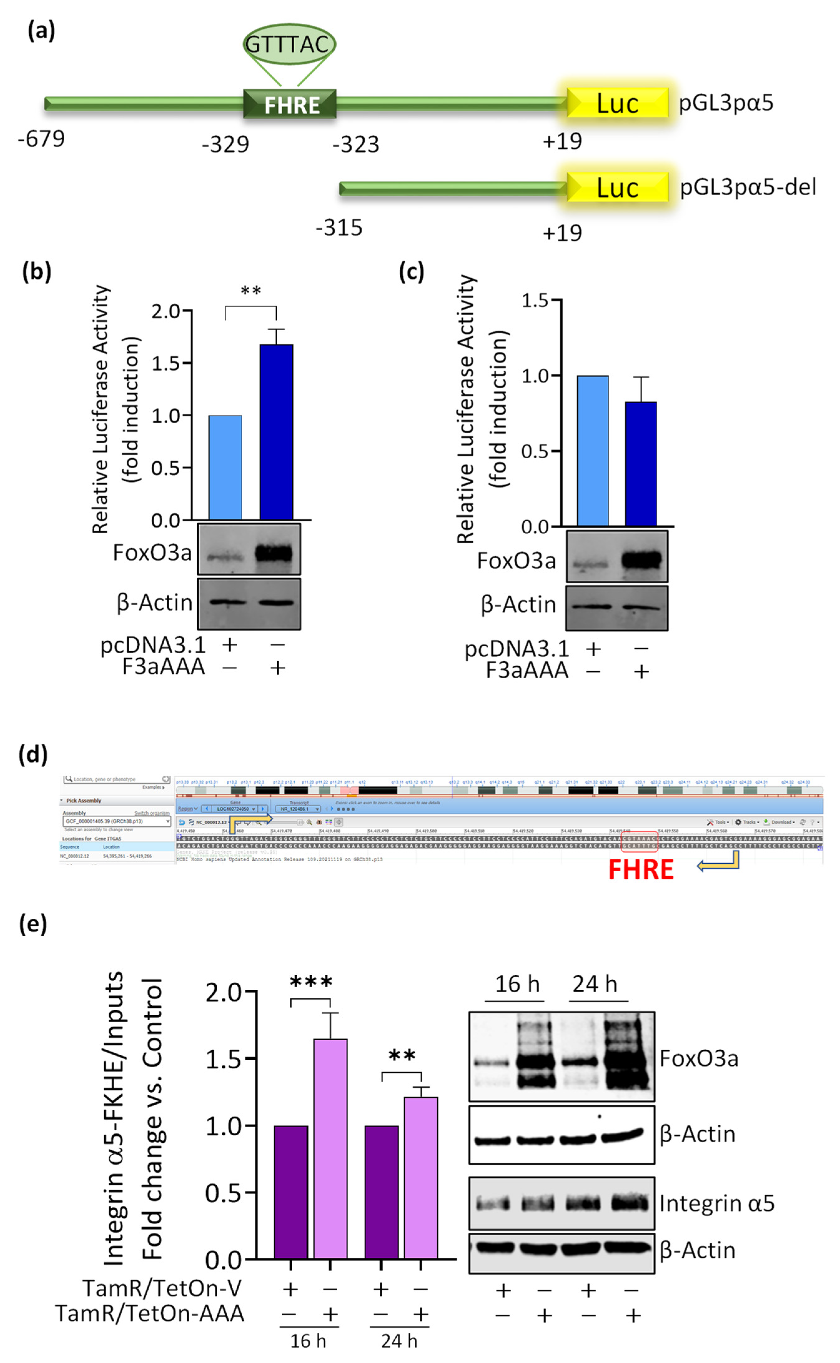 Cancers 14 00214 g004 Cancers 14 00214 g004
