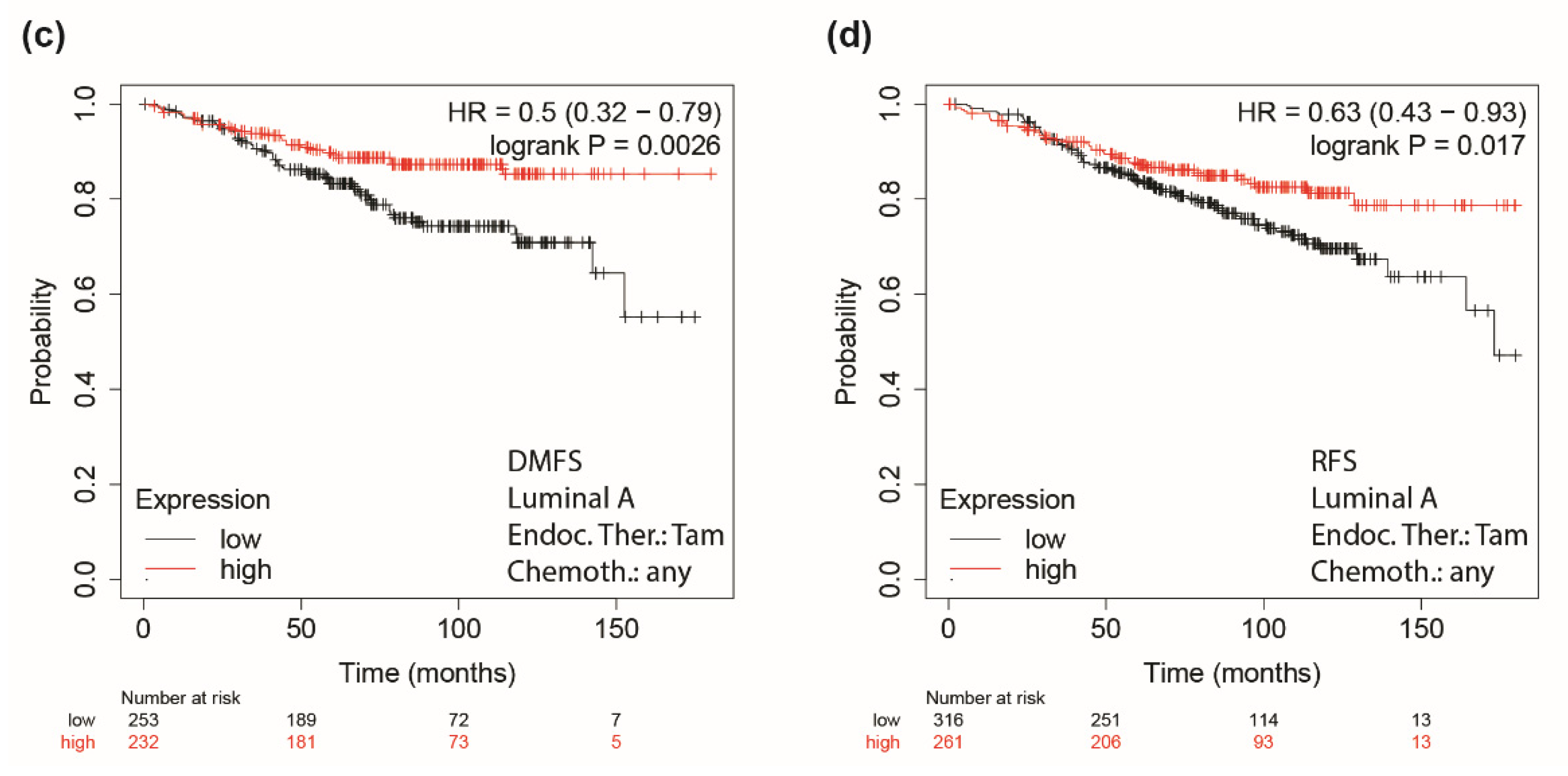 Cancers 14 00214 g005b Cancers 14 00214 g005b