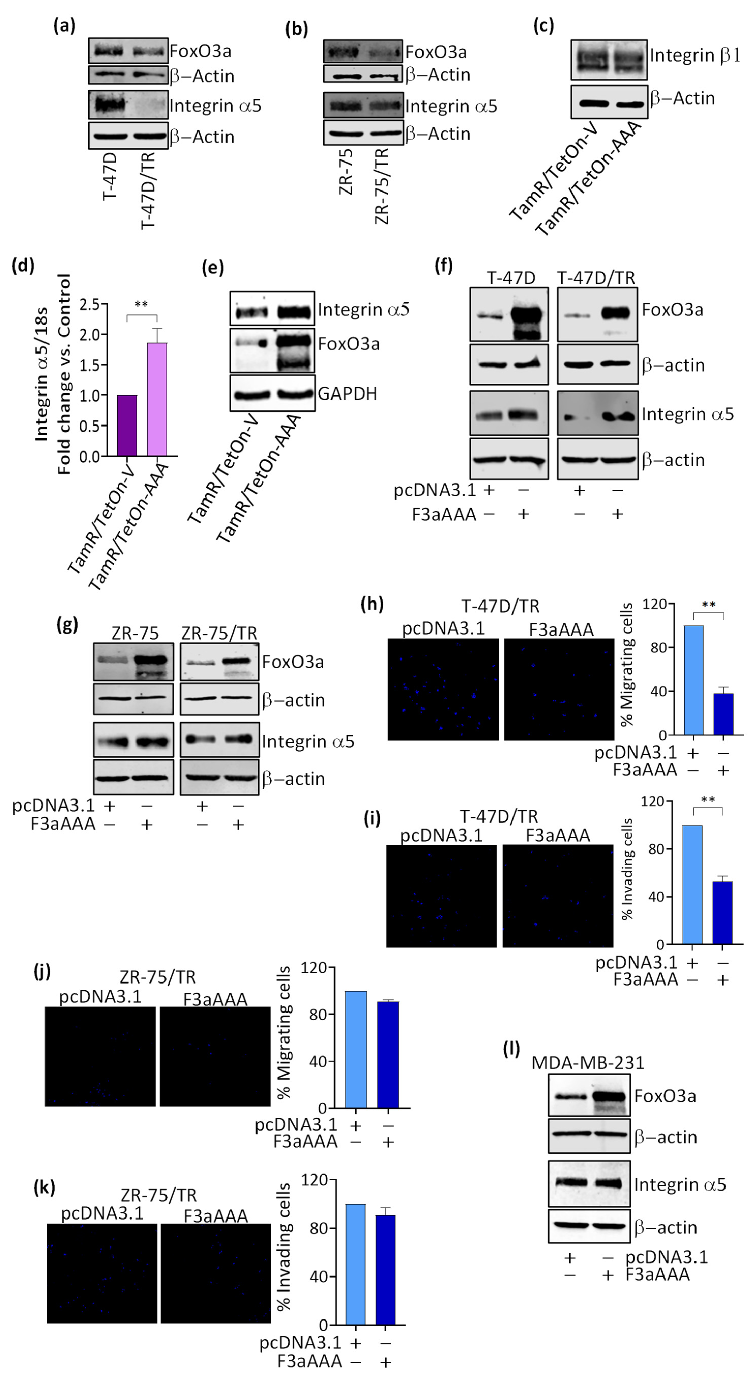 Cancers 14 00214 g0a2 Cancers 14 00214 g0a2