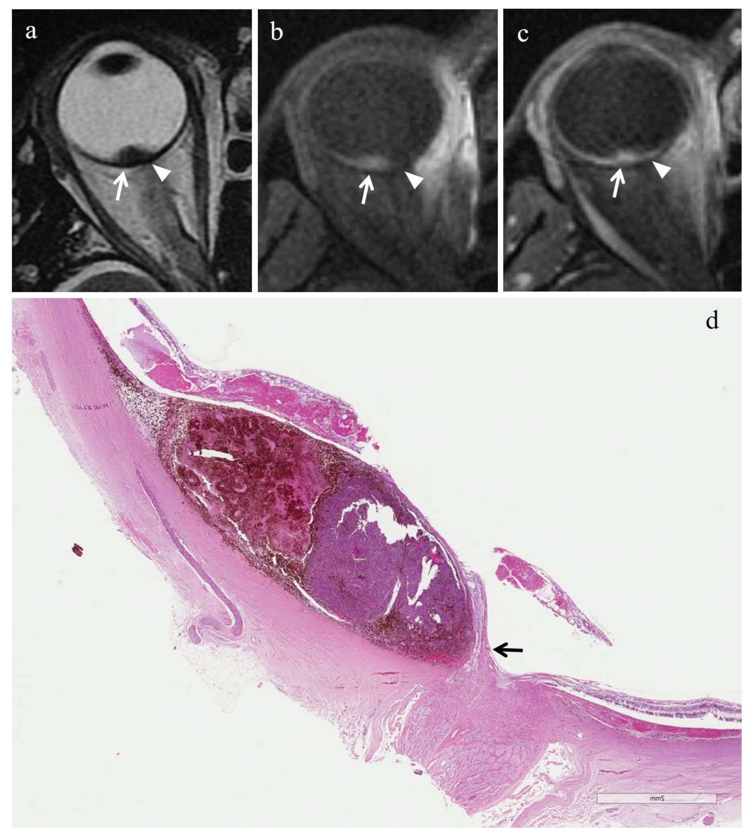 Cancers 14 00215 g003