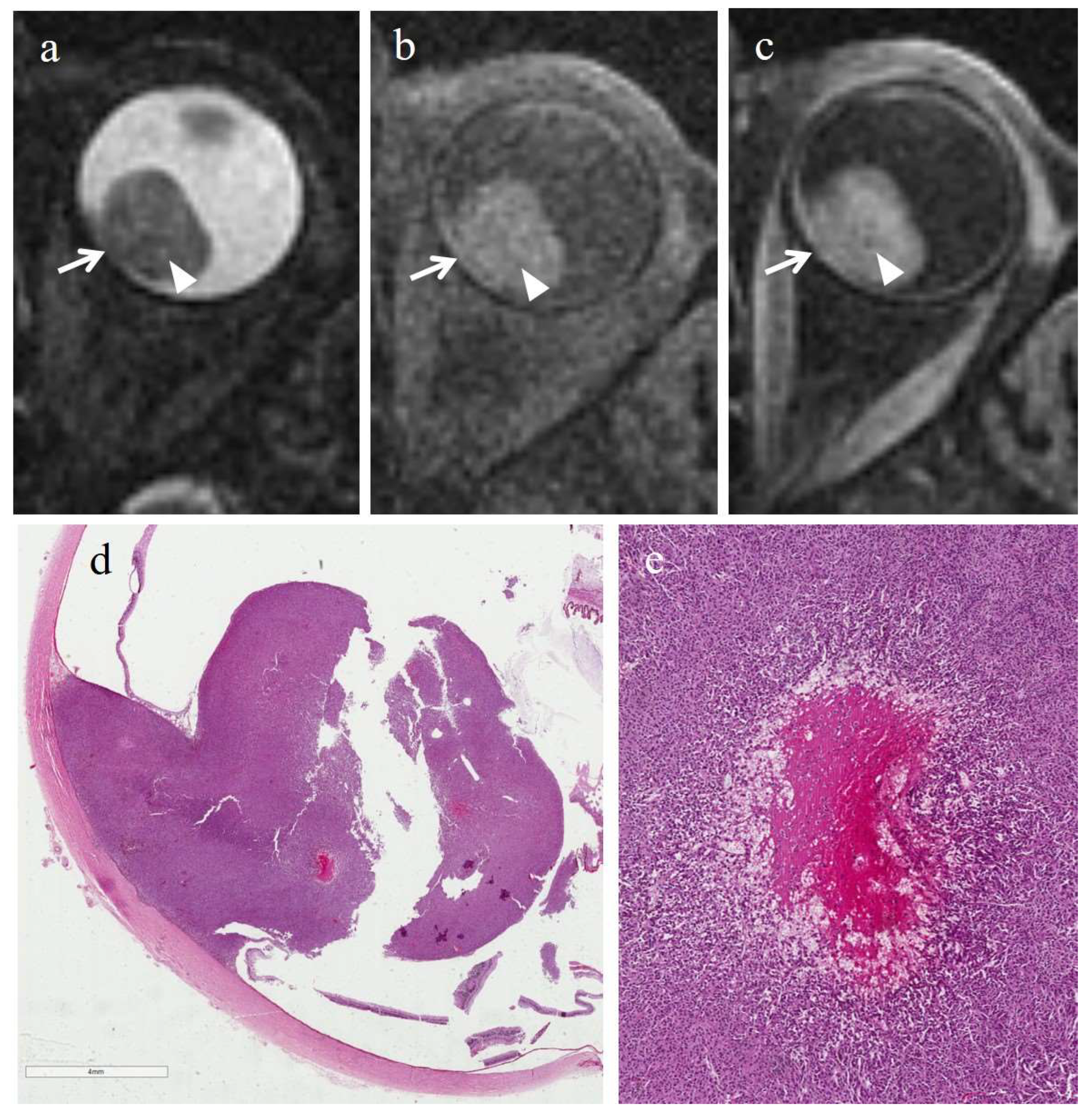 Cancers 14 00215 g006