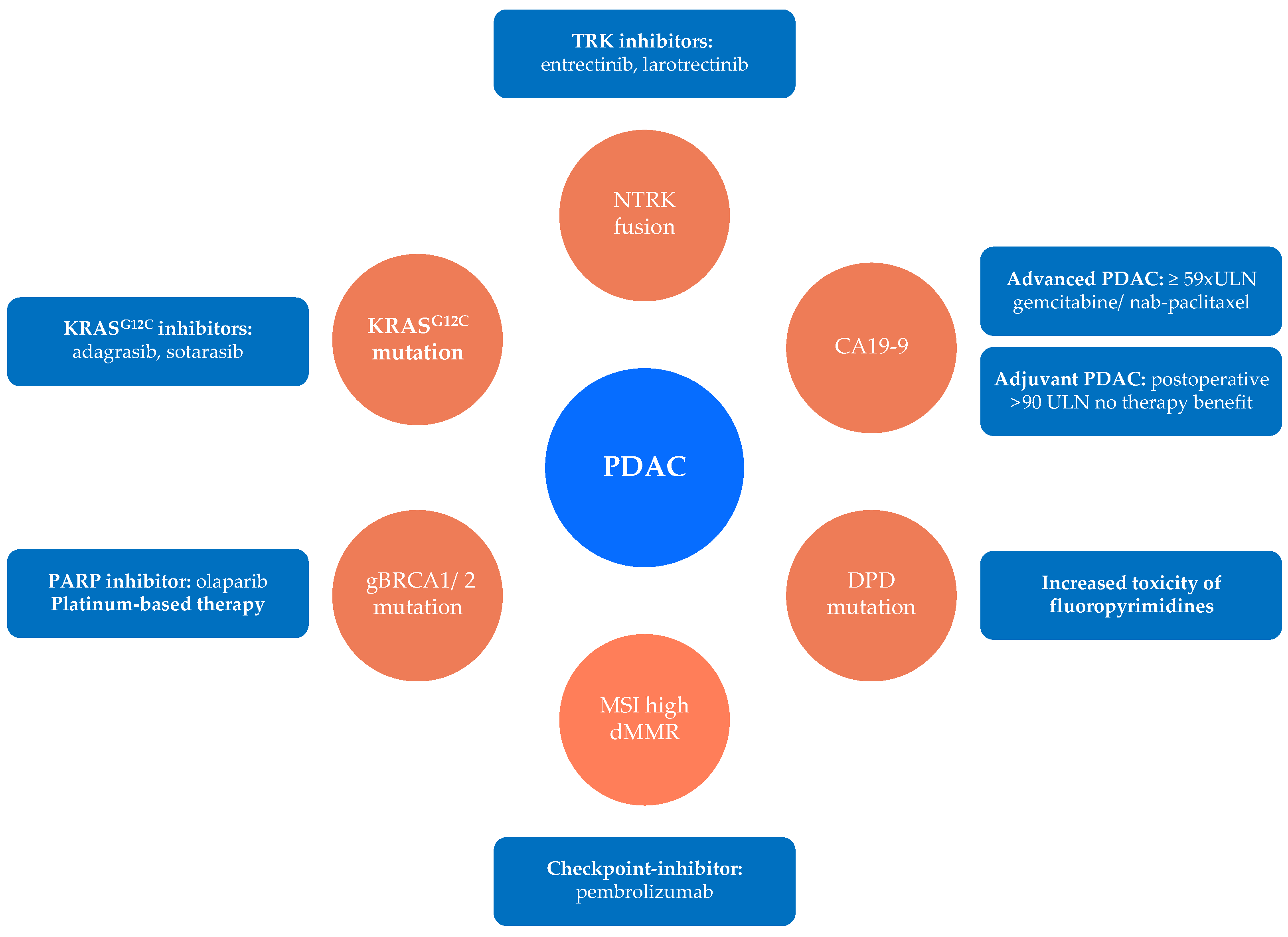 Cancers 14 00217 g001 Cancers 14 00217 g001