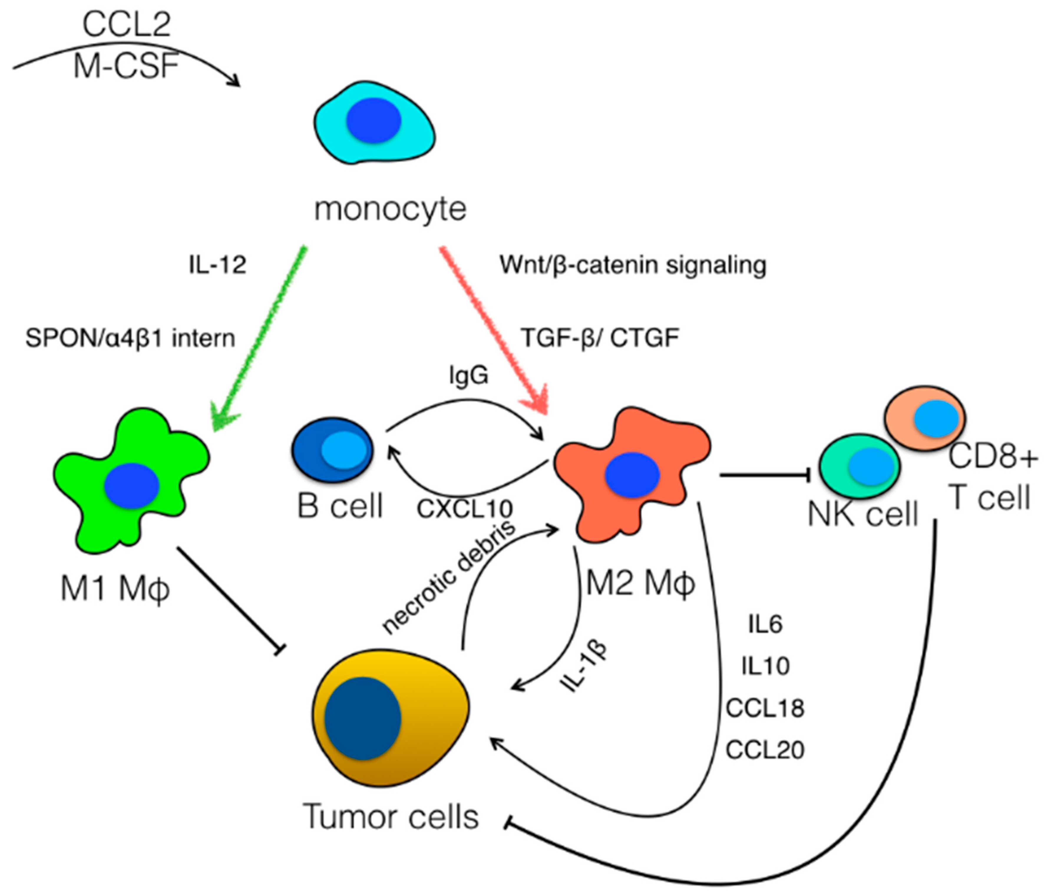 Cancers 14 00226 g002