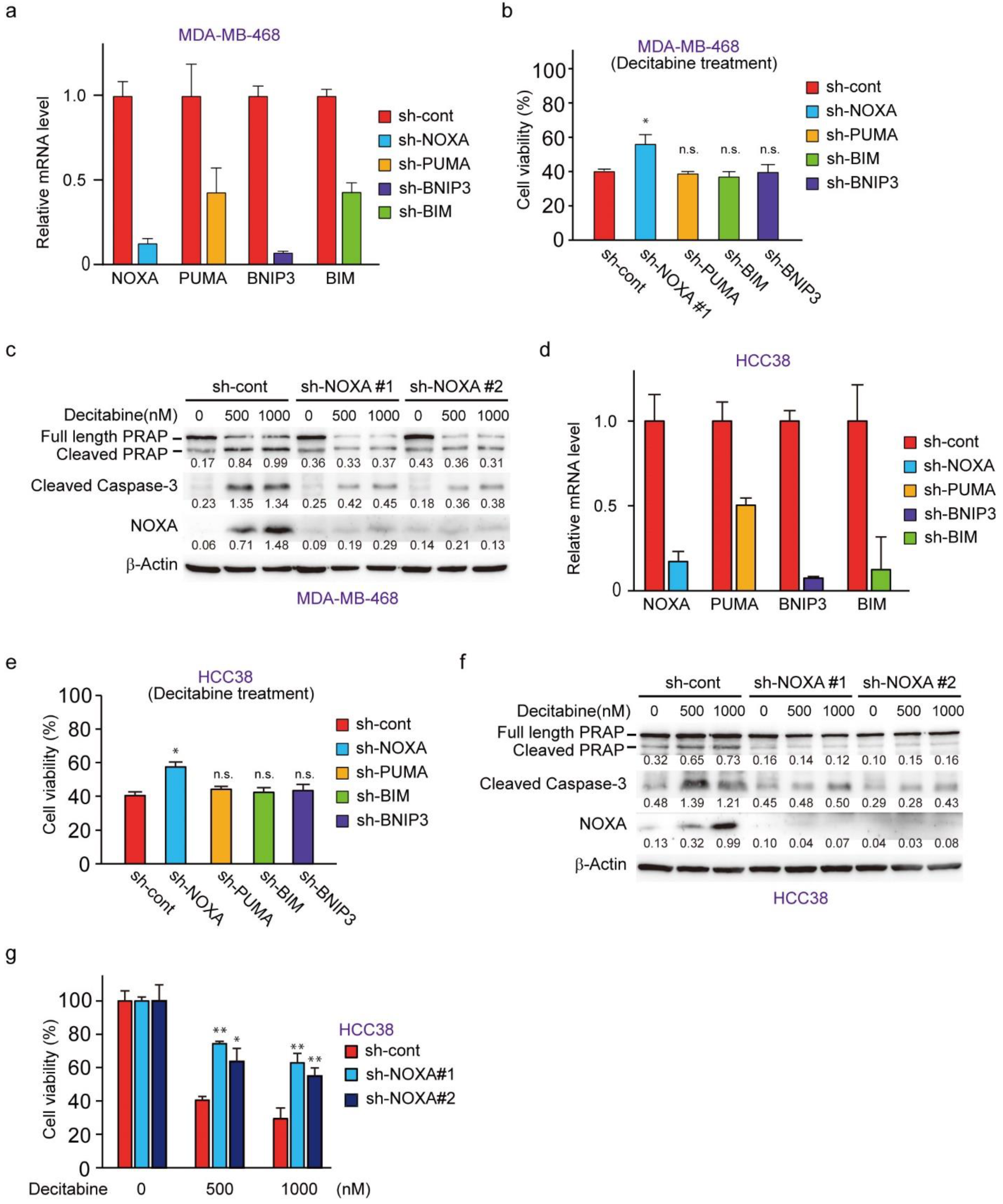 Cancers 14 00248 g004