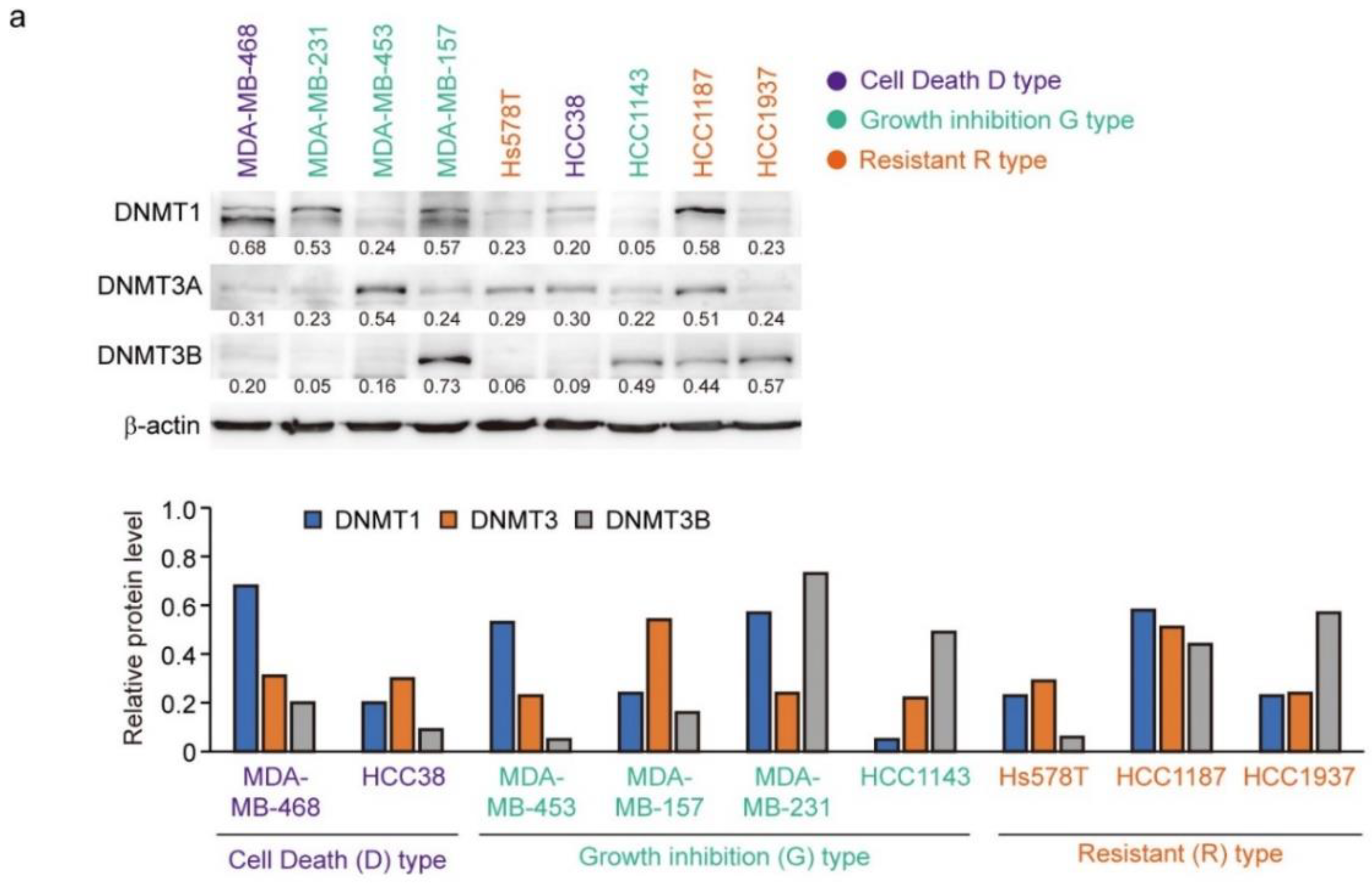 Cancers 14 00248 g006a