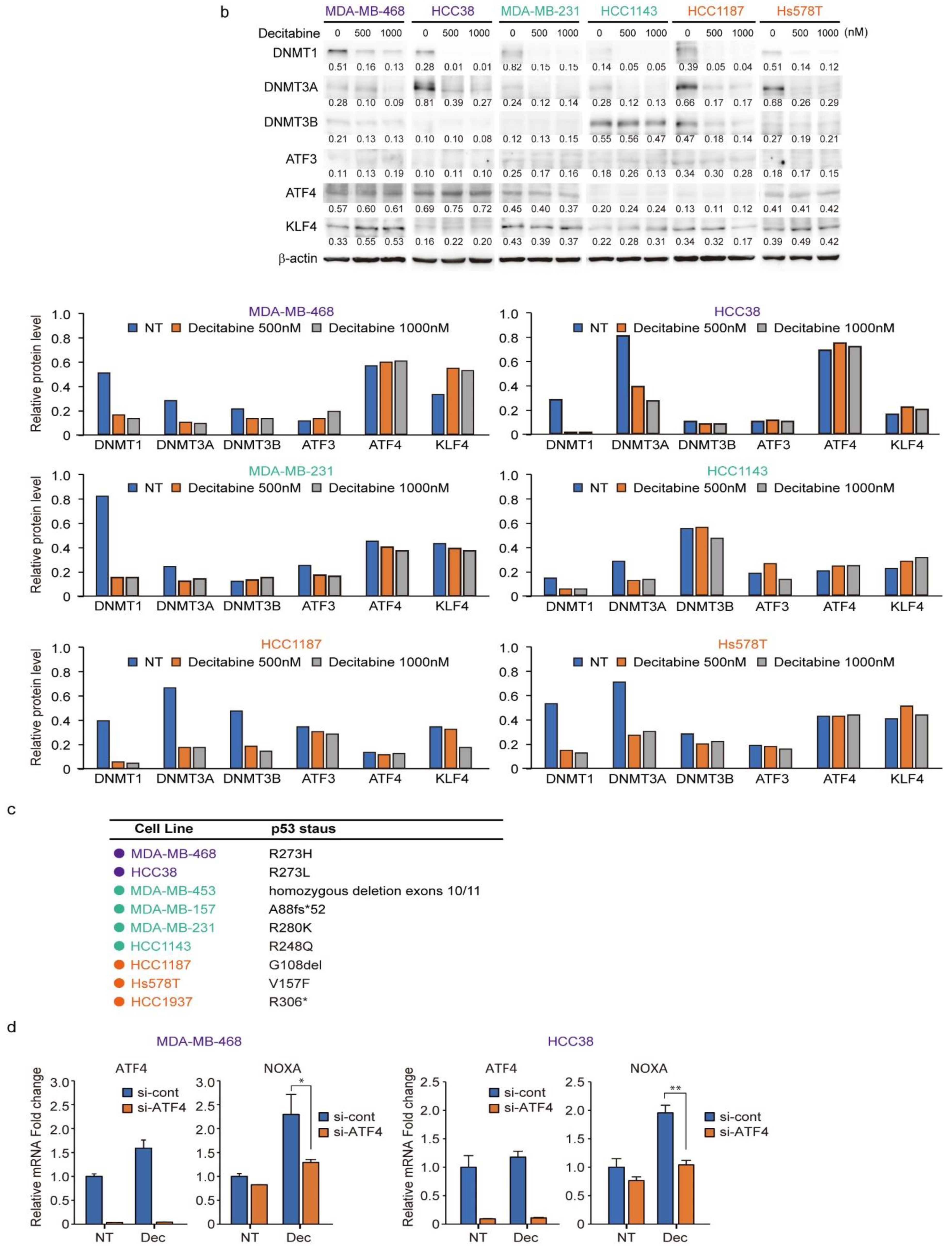 Cancers 14 00248 g006b