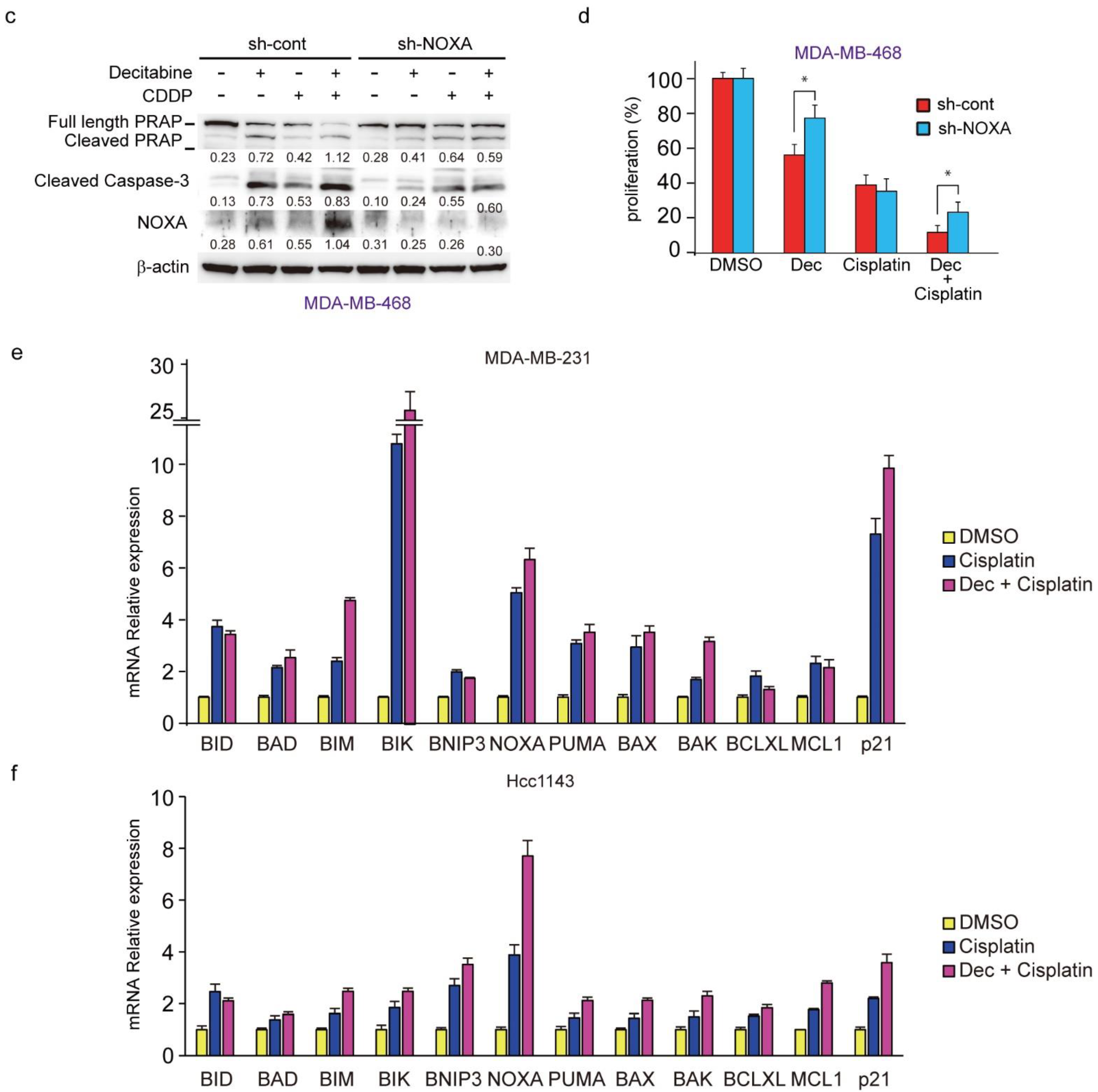 Cancers 14 00248 g008b