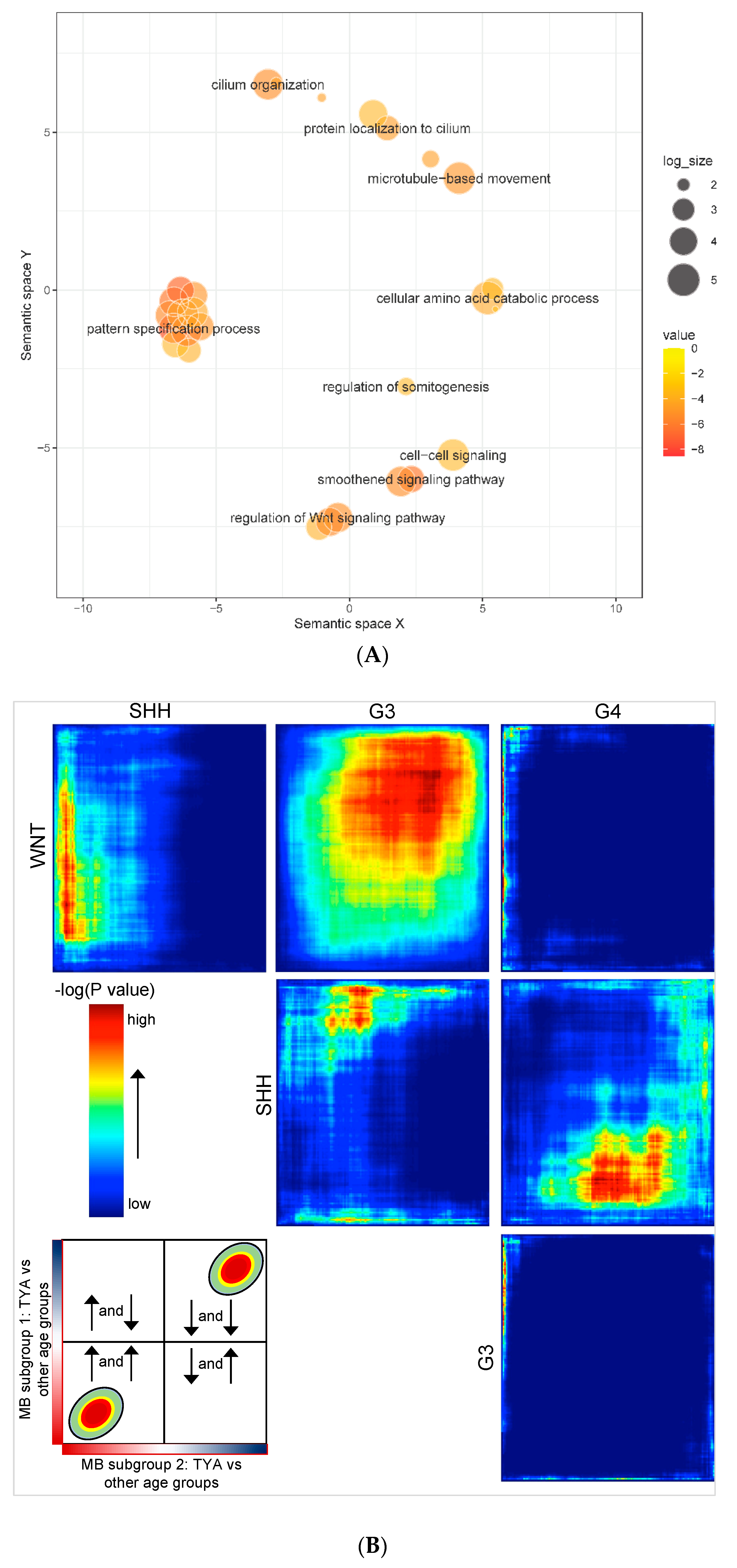 Cancers 14 00251 g002a