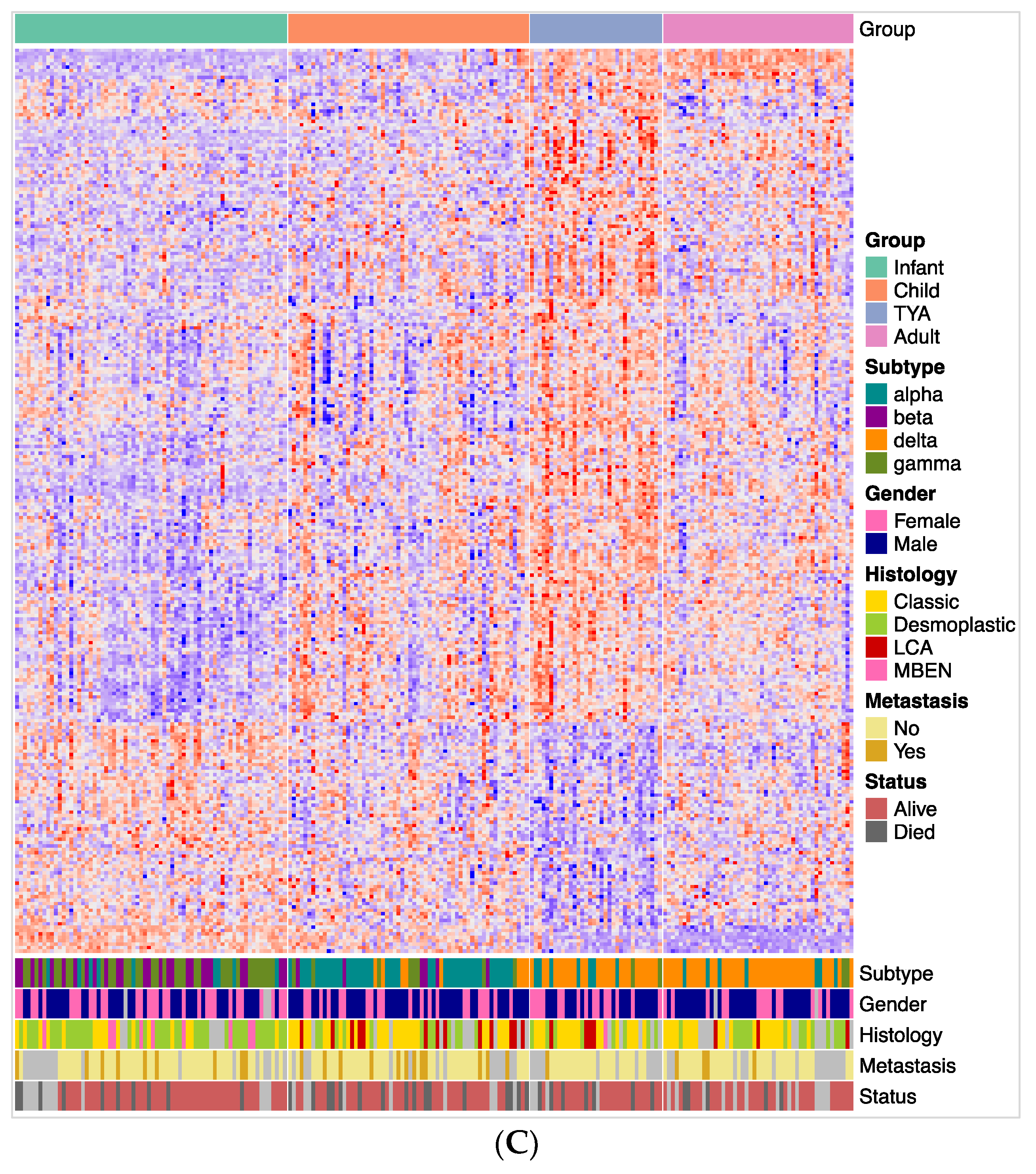 Cancers 14 00251 g002b