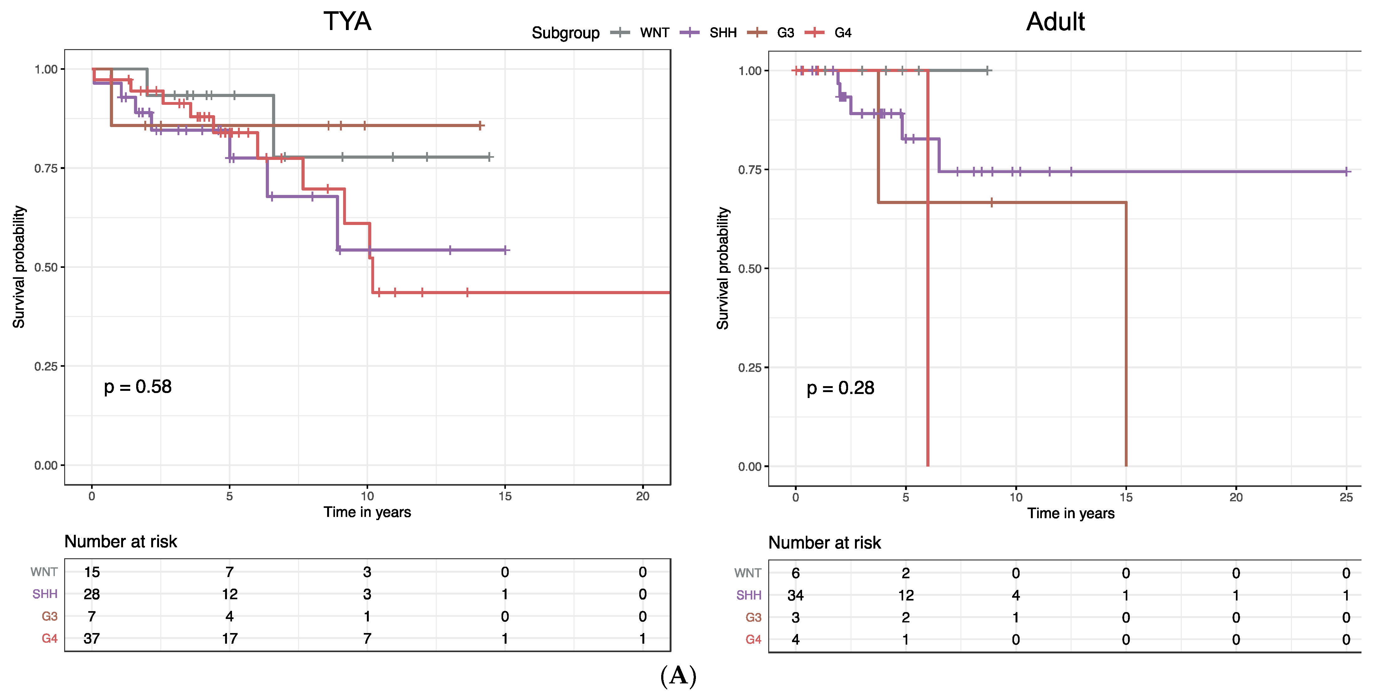 Cancers 14 00251 g005a