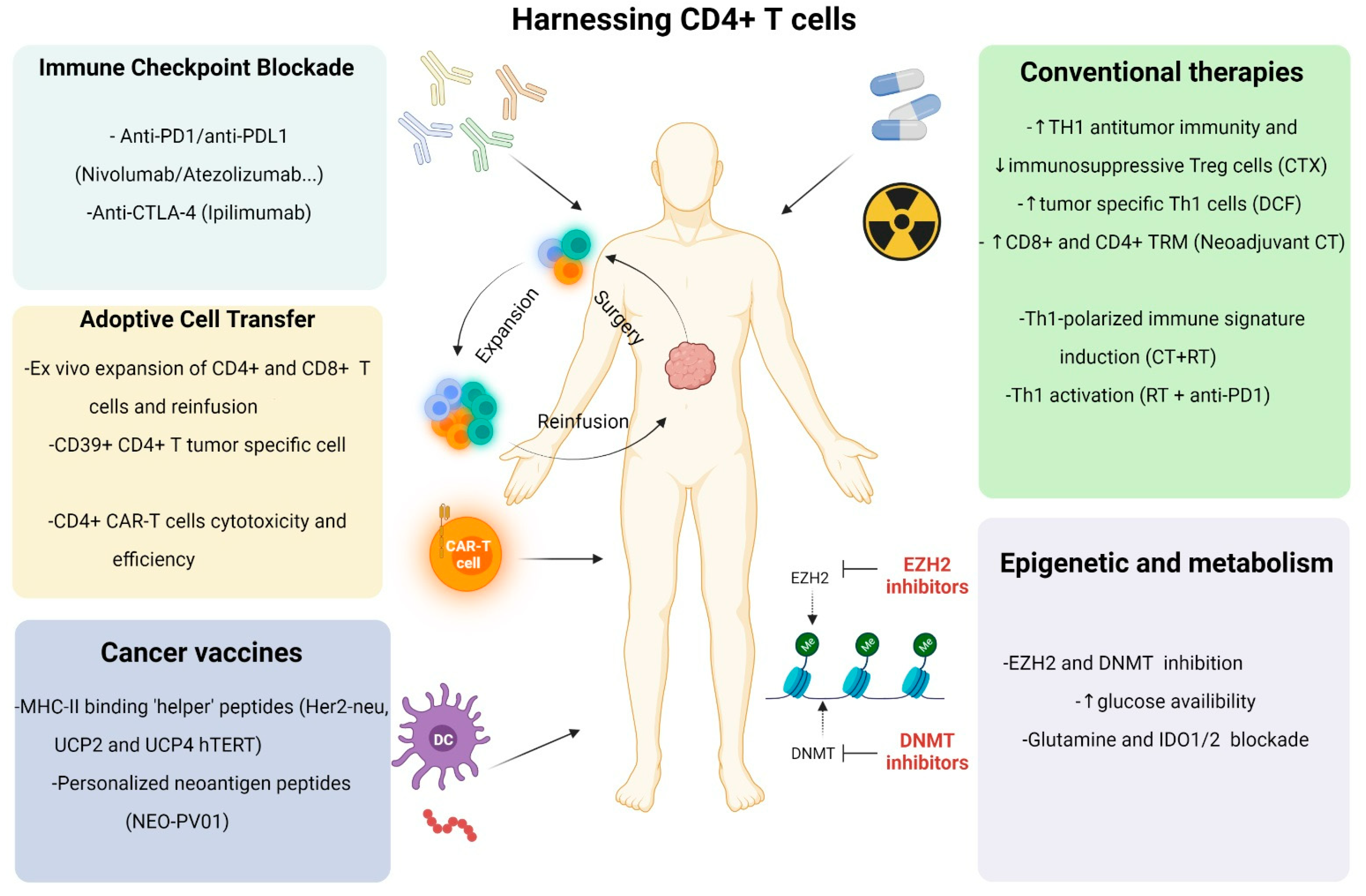 Cancers 14 00260 g002