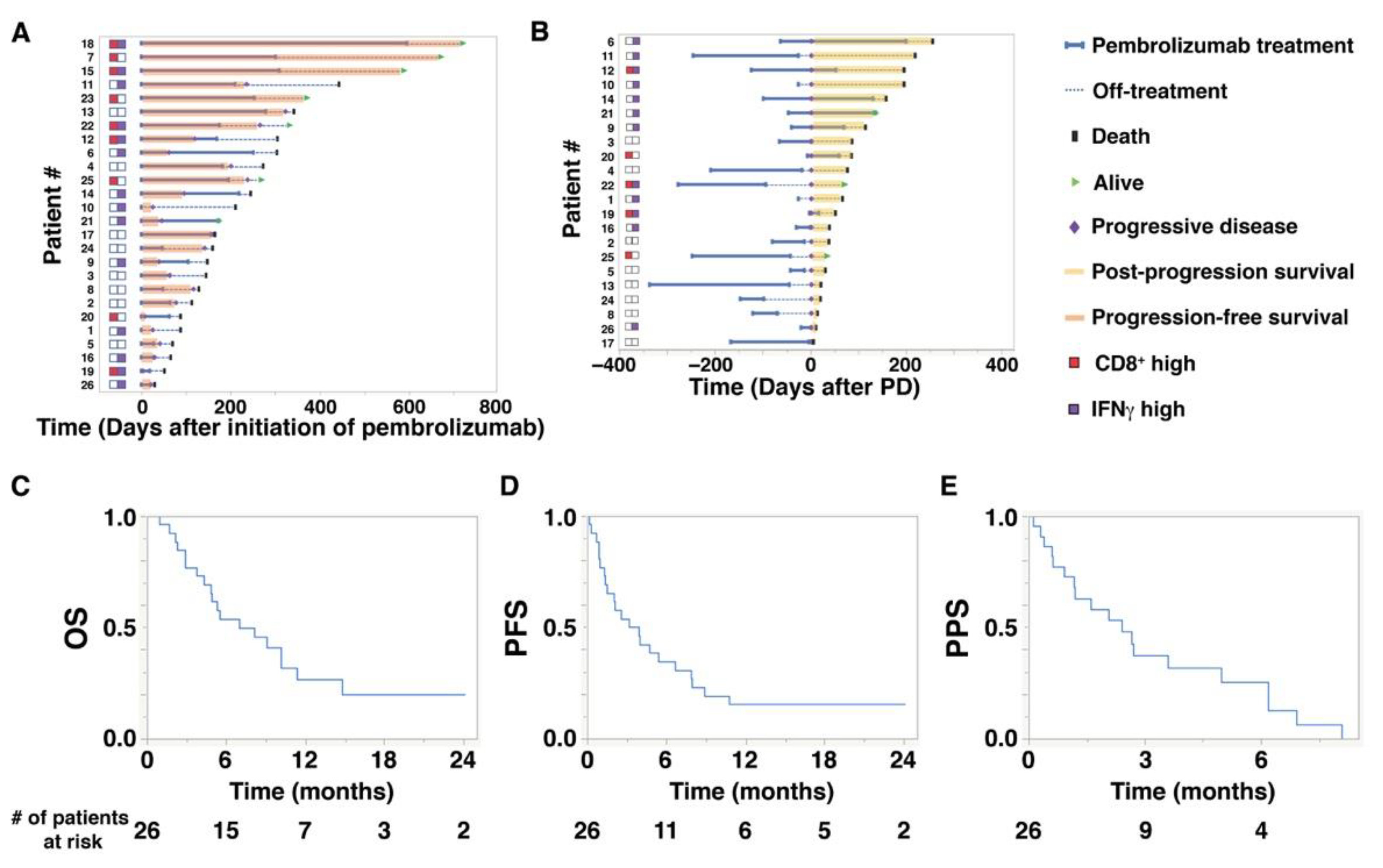 Cancers 14 00263 g001