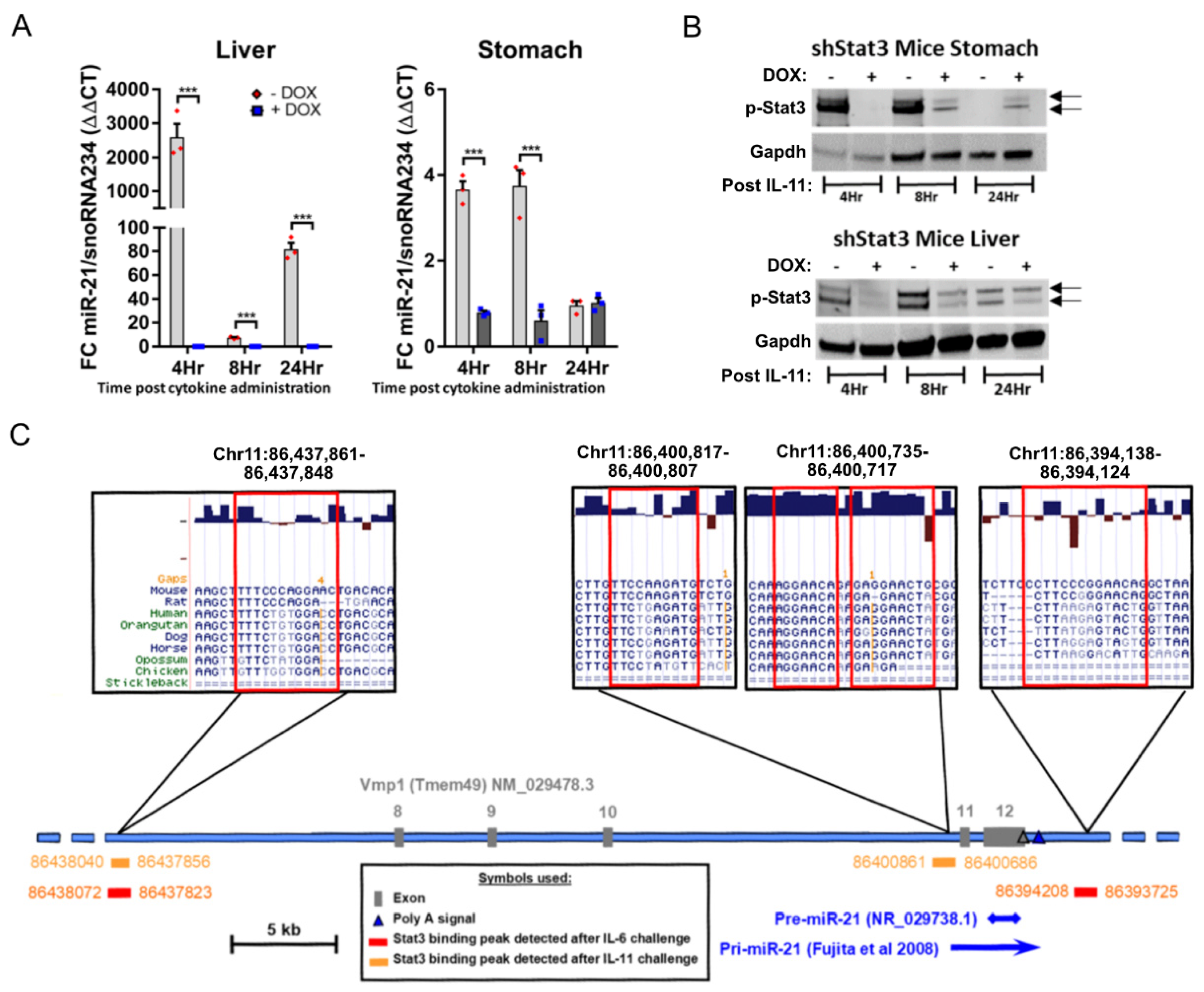 Cancers 14 00264 g002