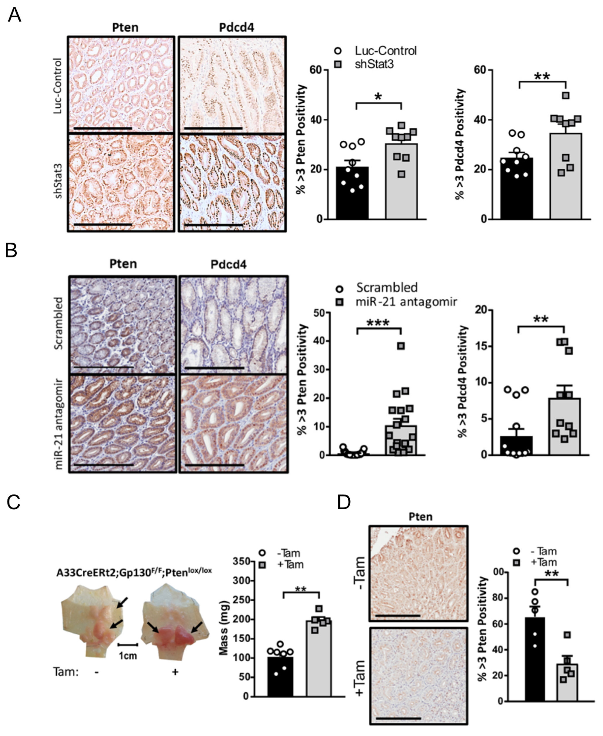 Cancers 14 00264 g005