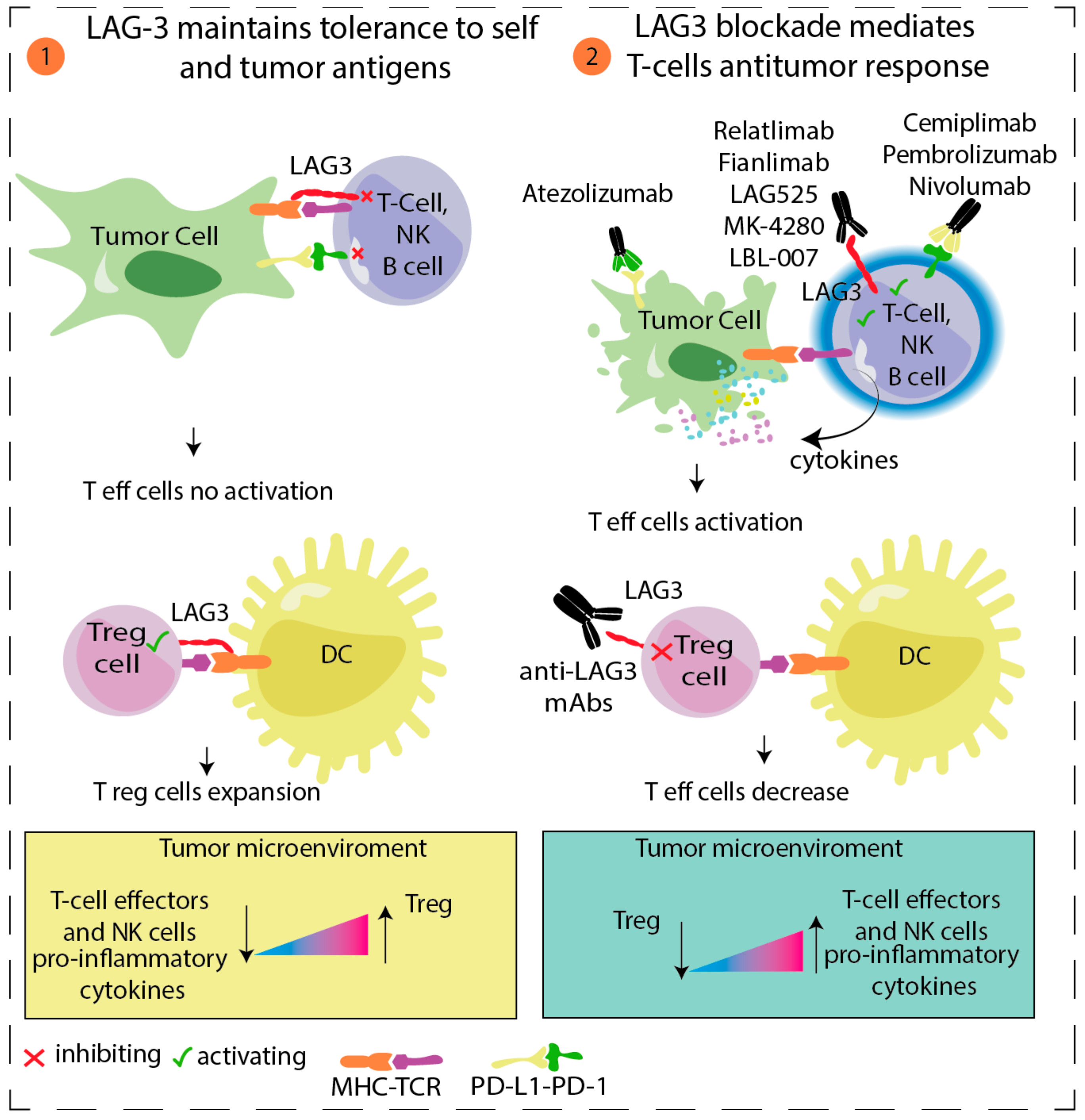 Cancers 14 00271 g001