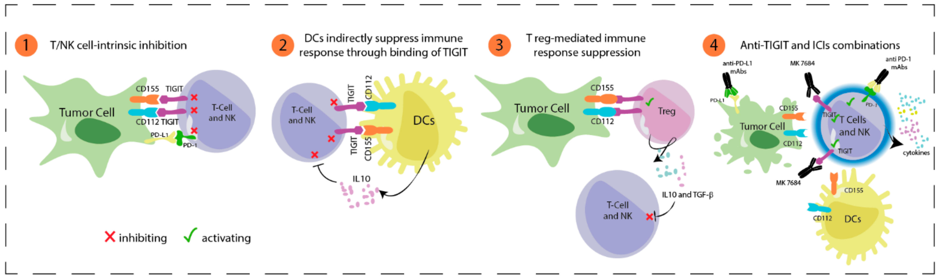 Cancers 14 00271 g003