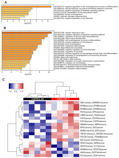 Cancers 14 00278 g006