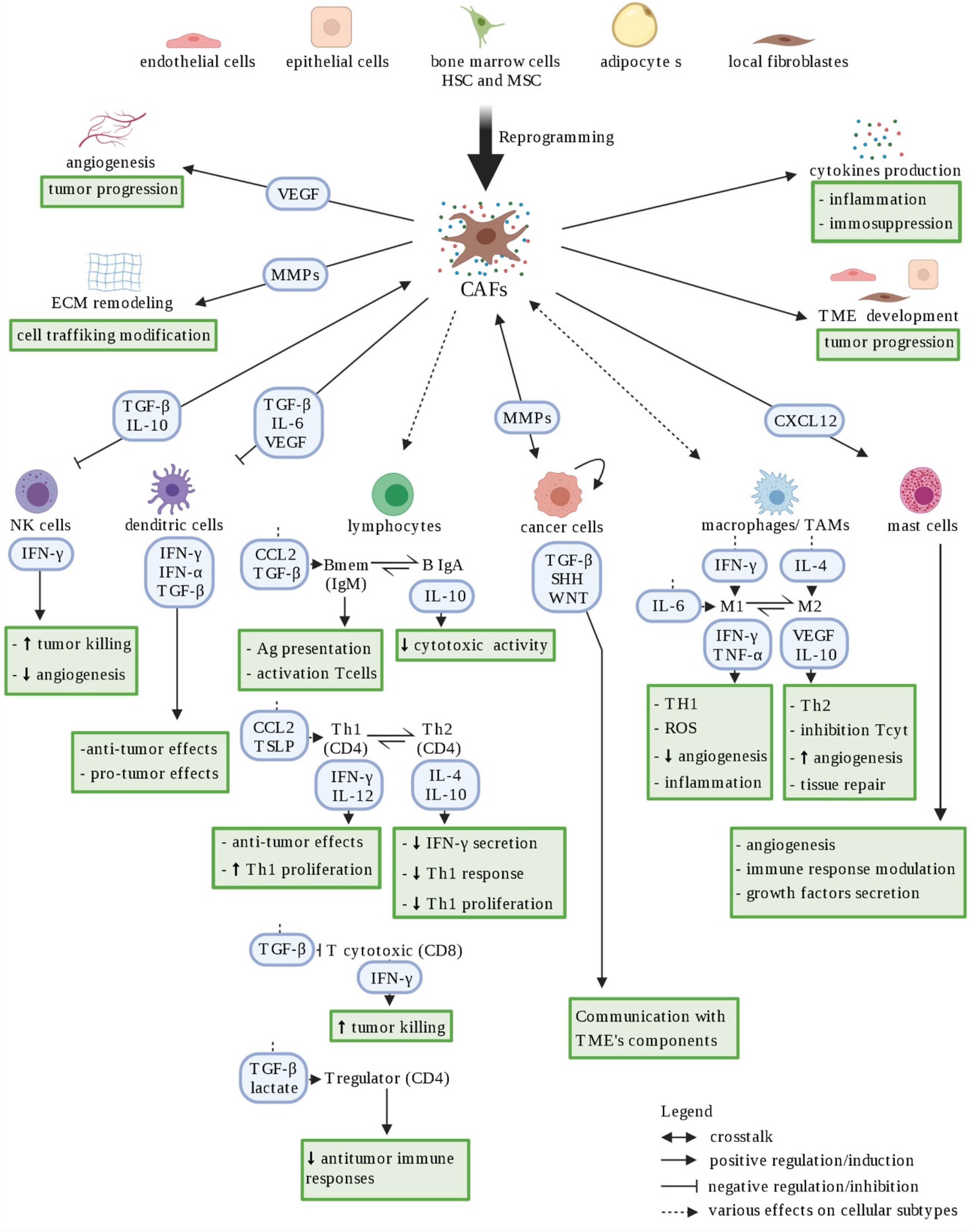 Cancers 14 00280 g003