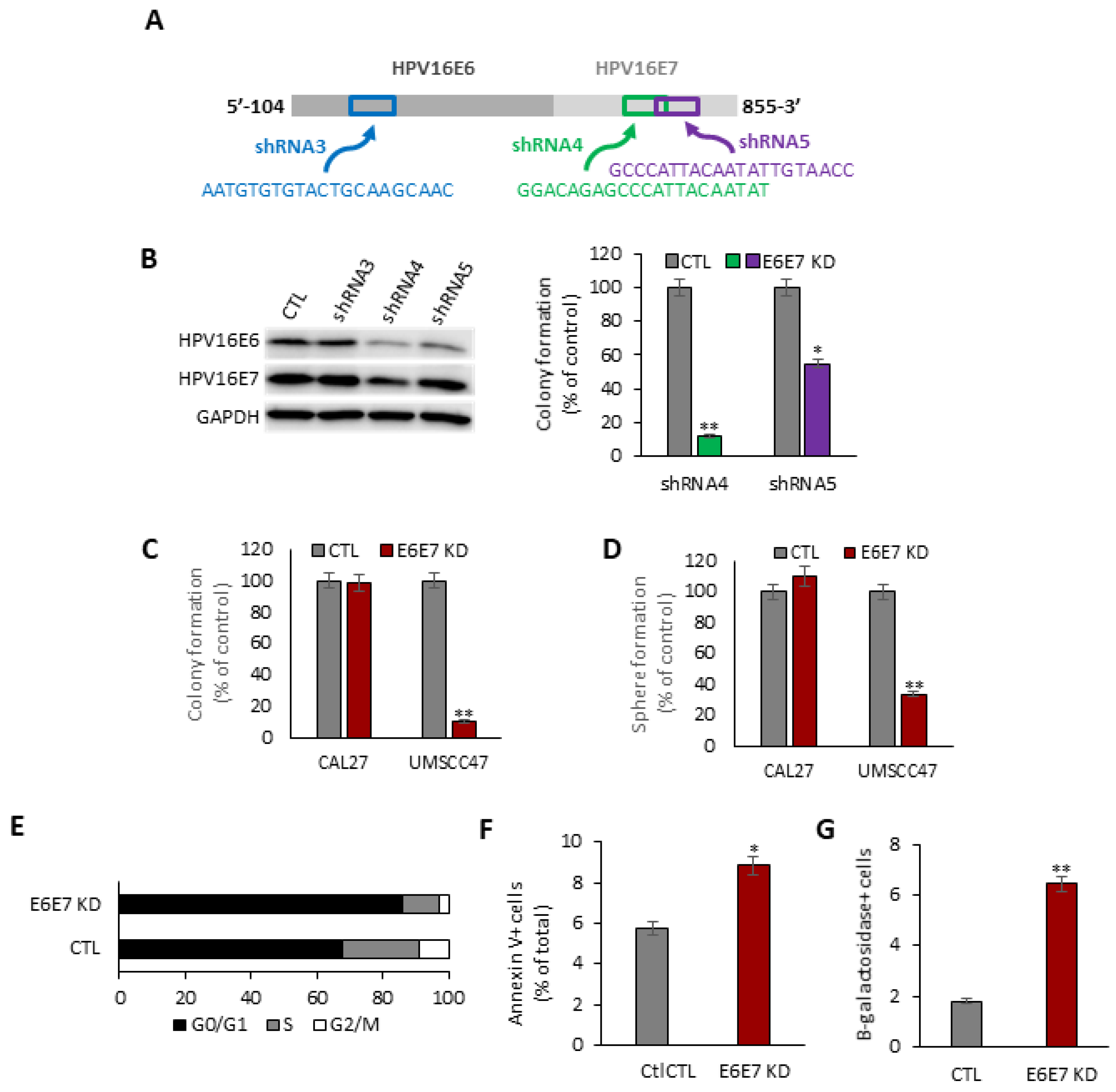 Cancers 14 00282 g001