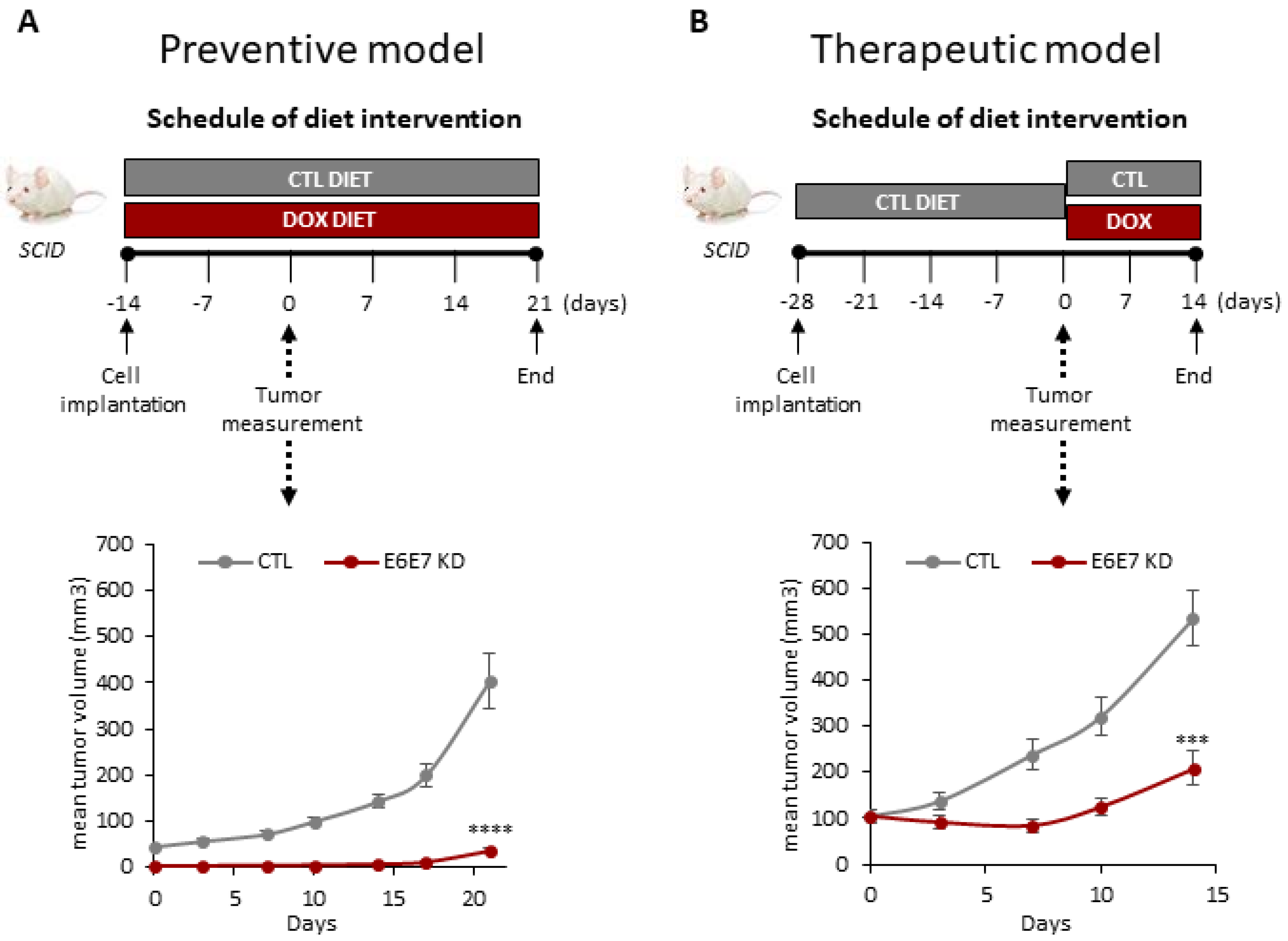 Cancers 14 00282 g002